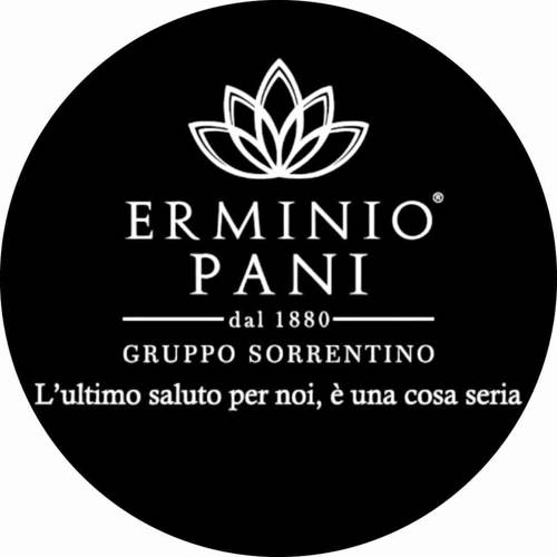 Erminio Pani