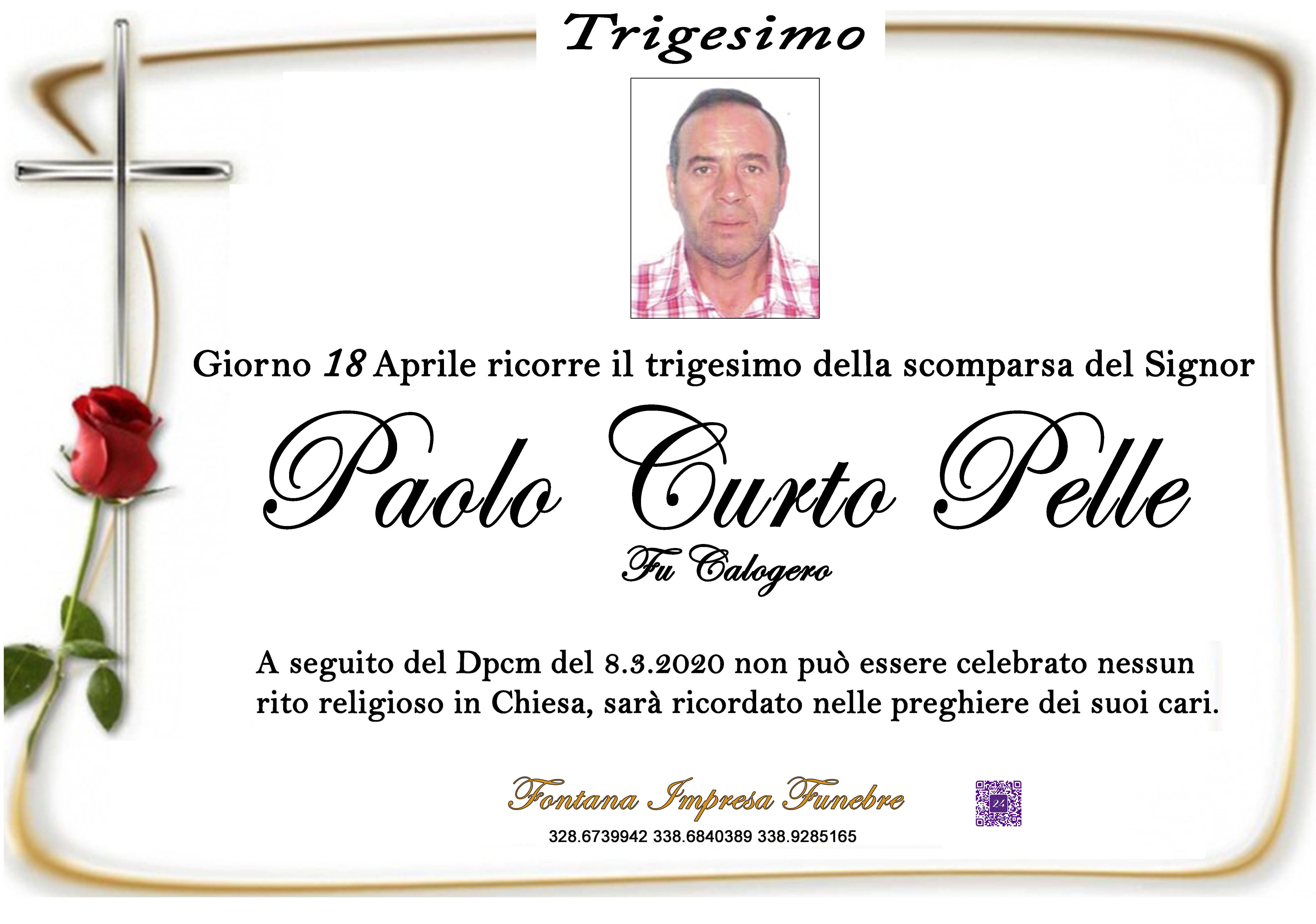 Paolo Curto Pelle