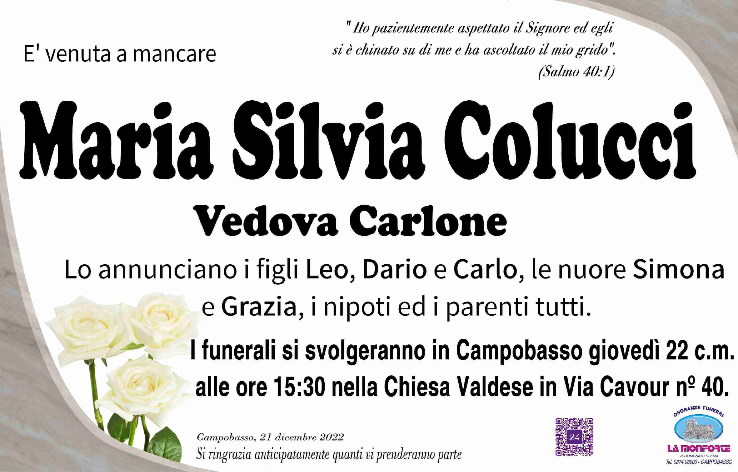 Maria Silvia Colucci