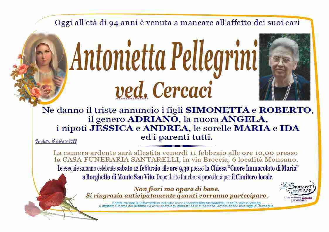 Antonietta Pellegrini