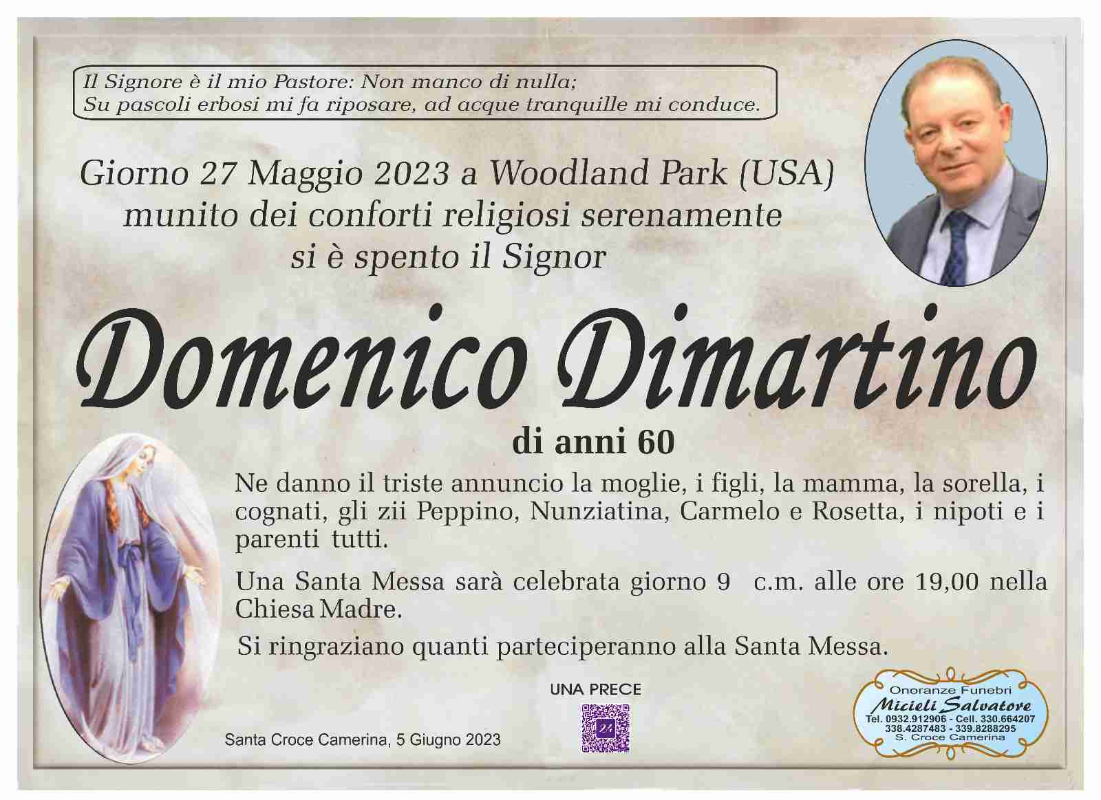 Domenico Dimartino
