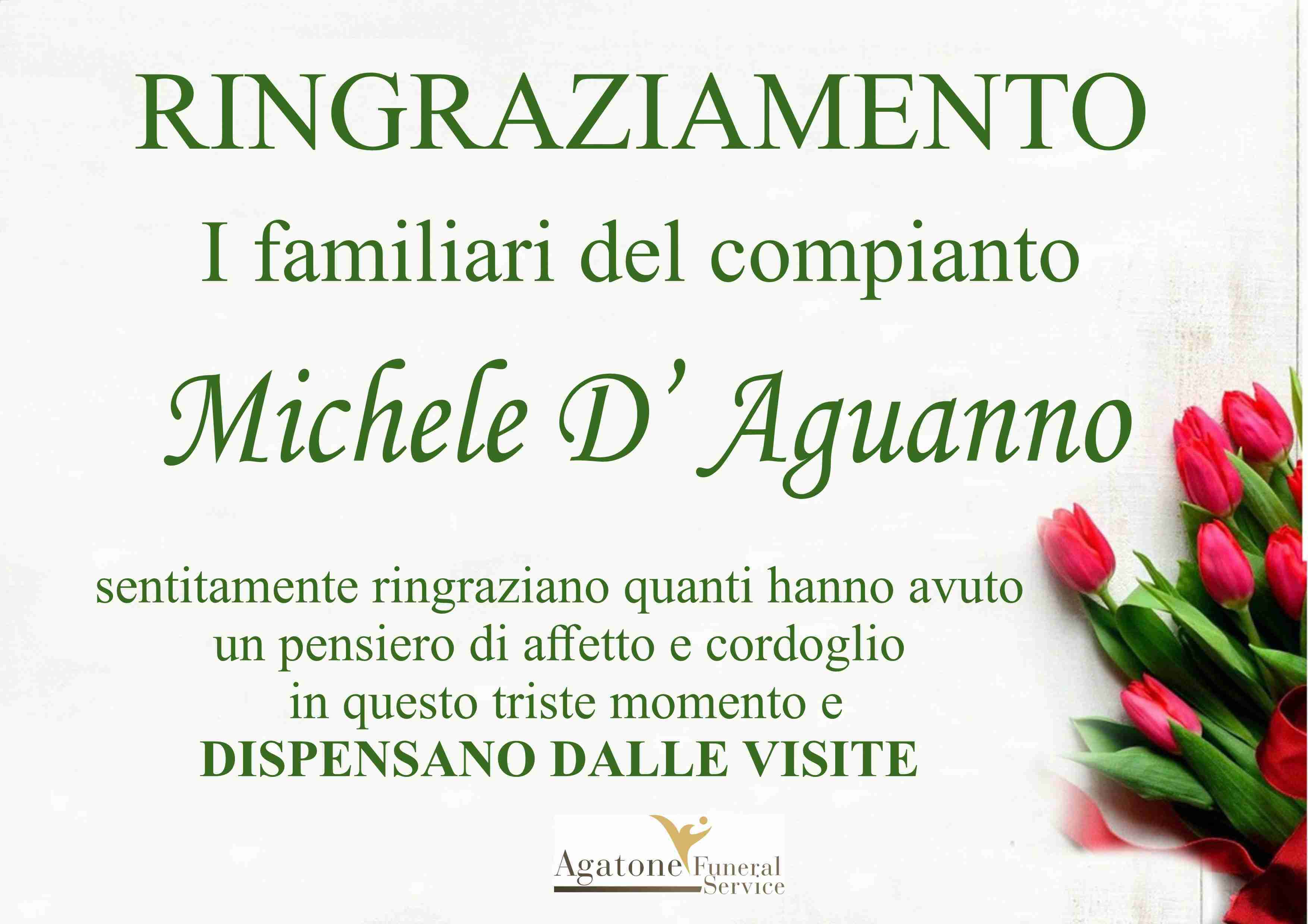 Michele D’Aguanno