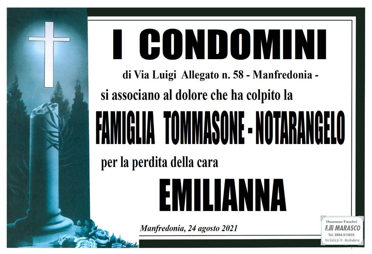 I condomini di Via Luigi Allegato 58 - Manfredonia