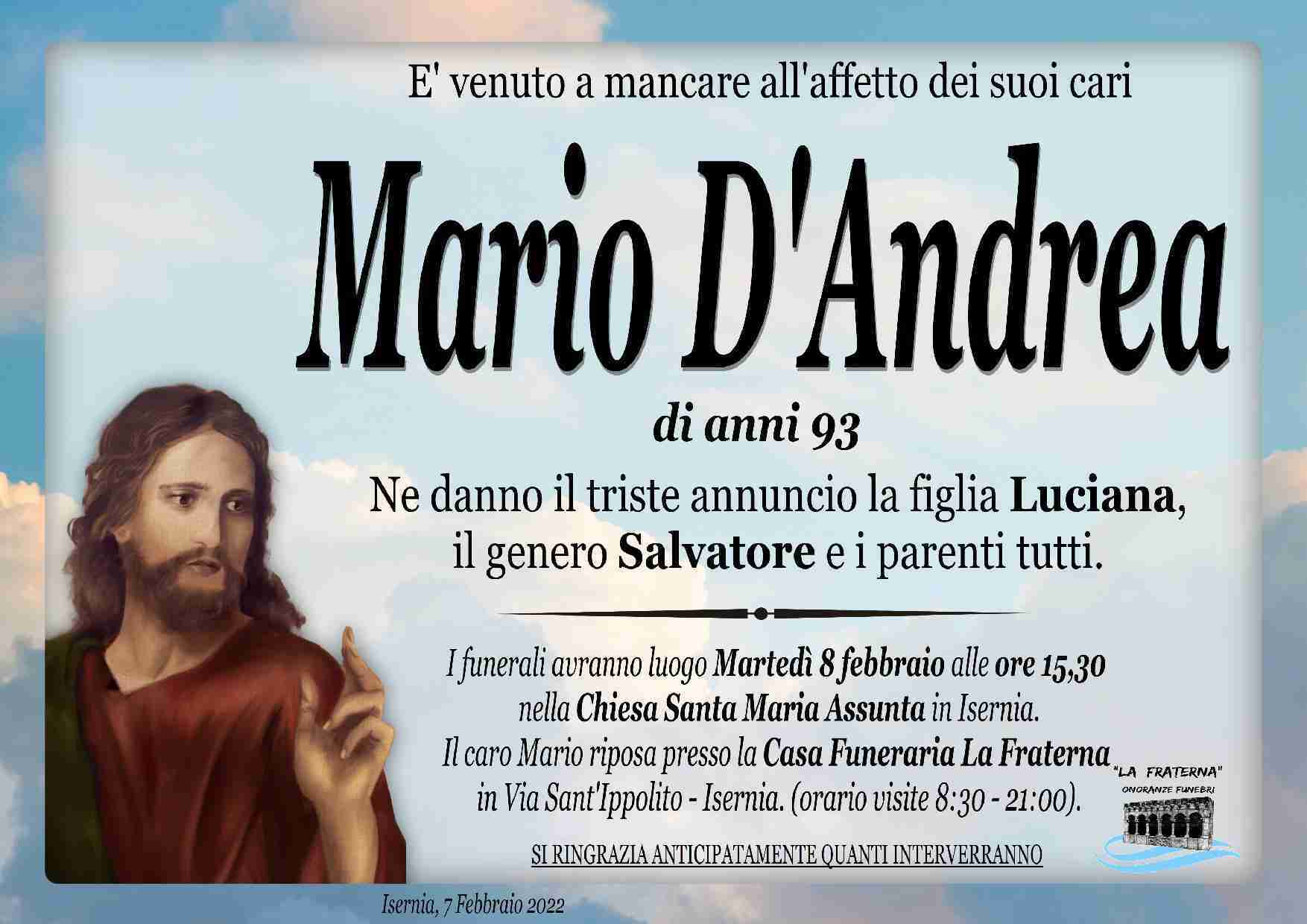 Mario D'Andrea