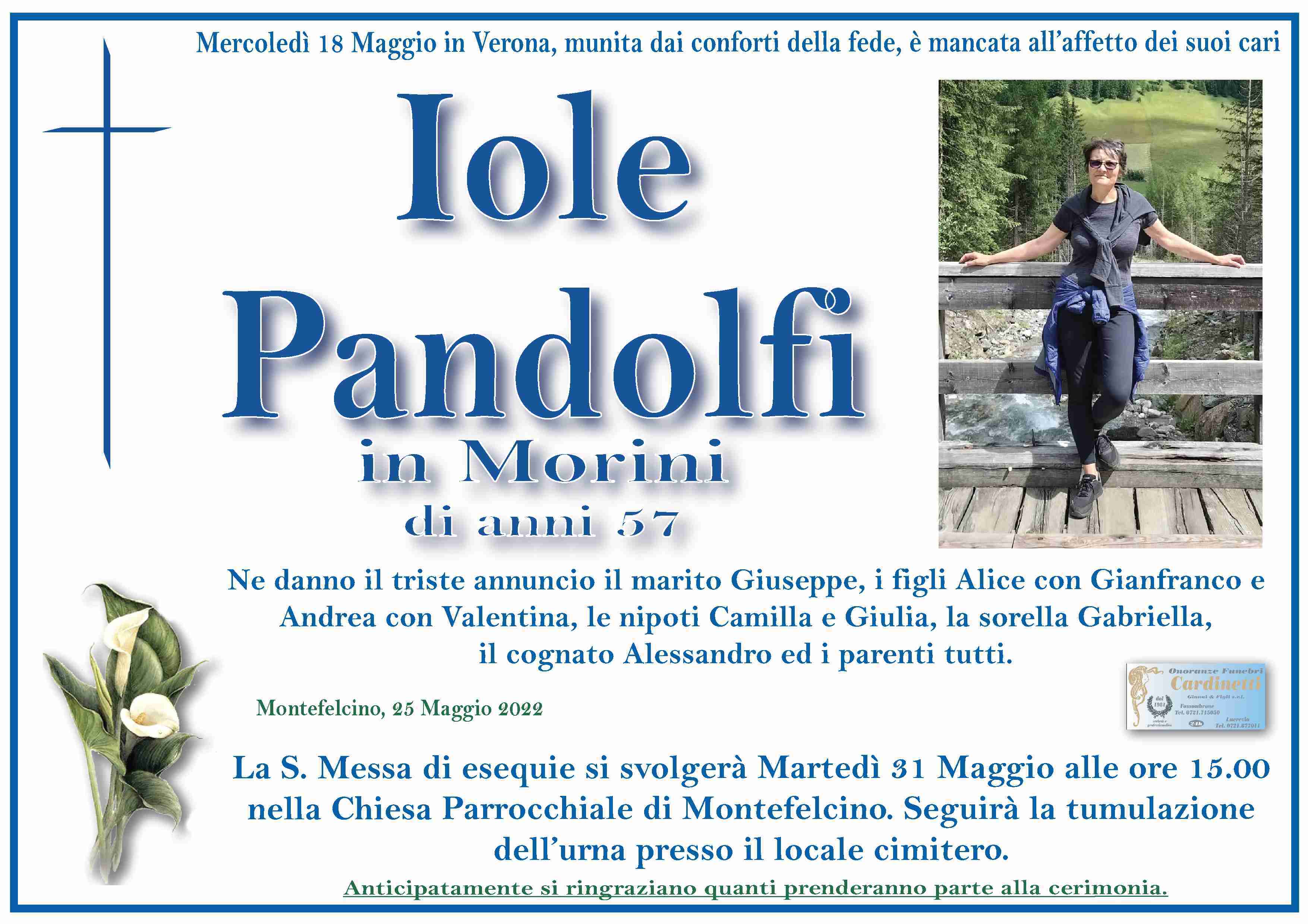 Iole Pandolfi