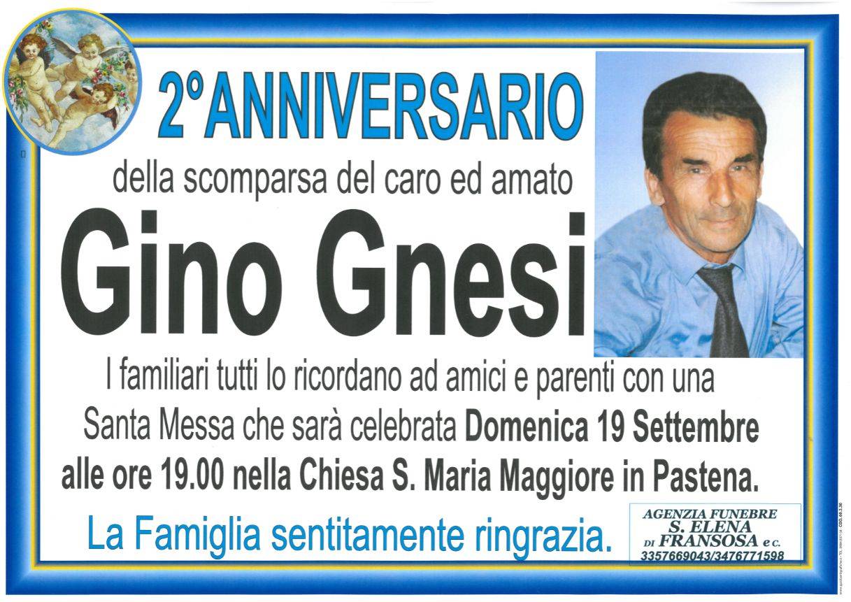 Gino Gnesi