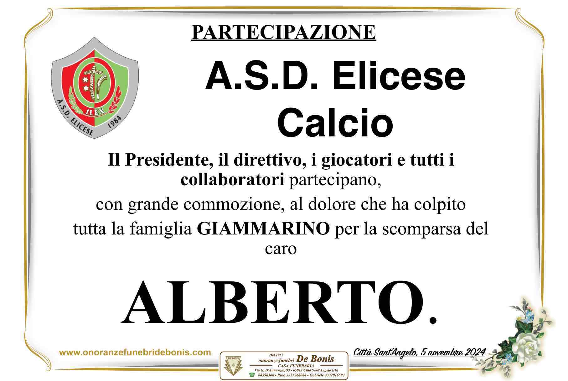 Giammarino Alberto