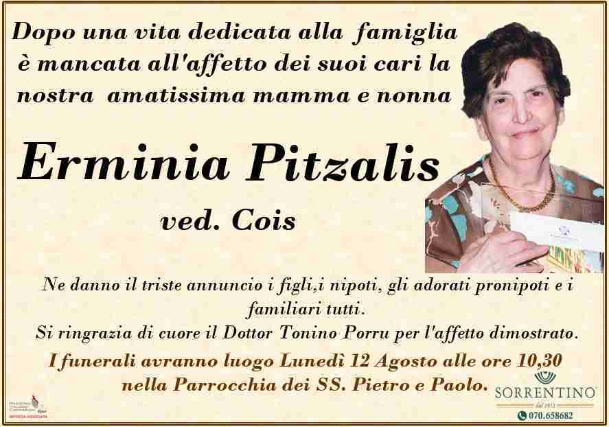 Erminia Pitzalis