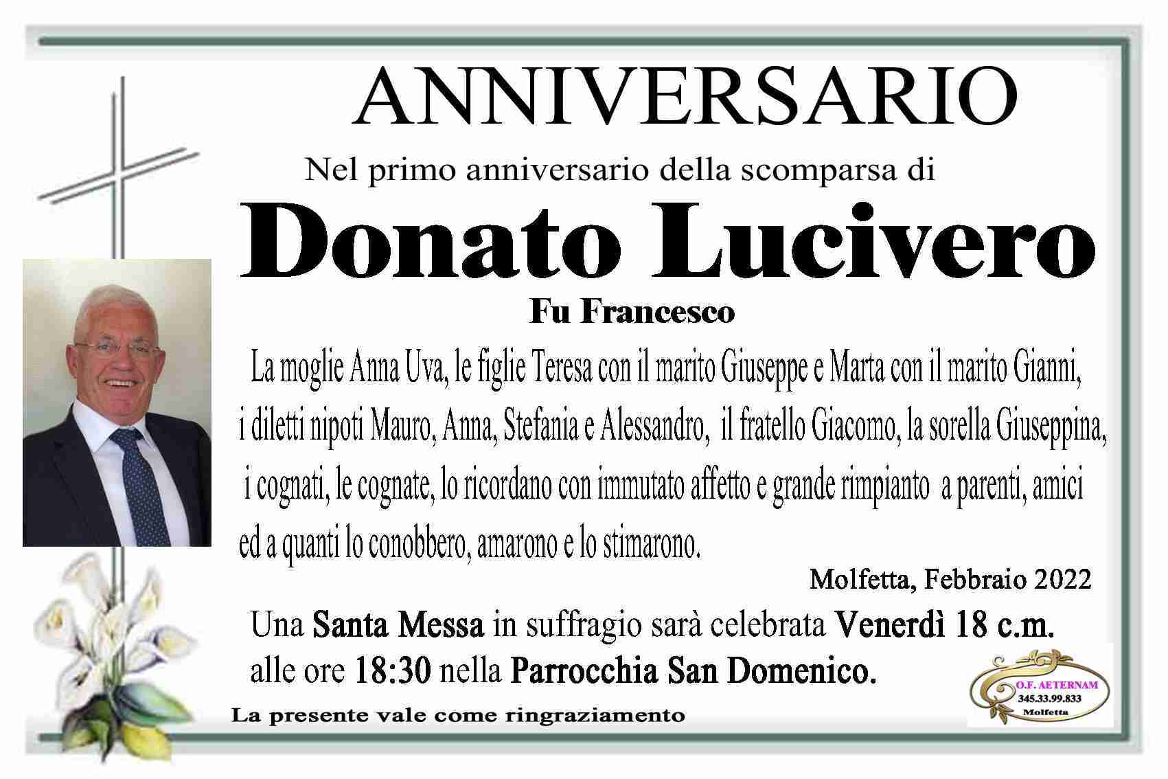 Donato Lucivero