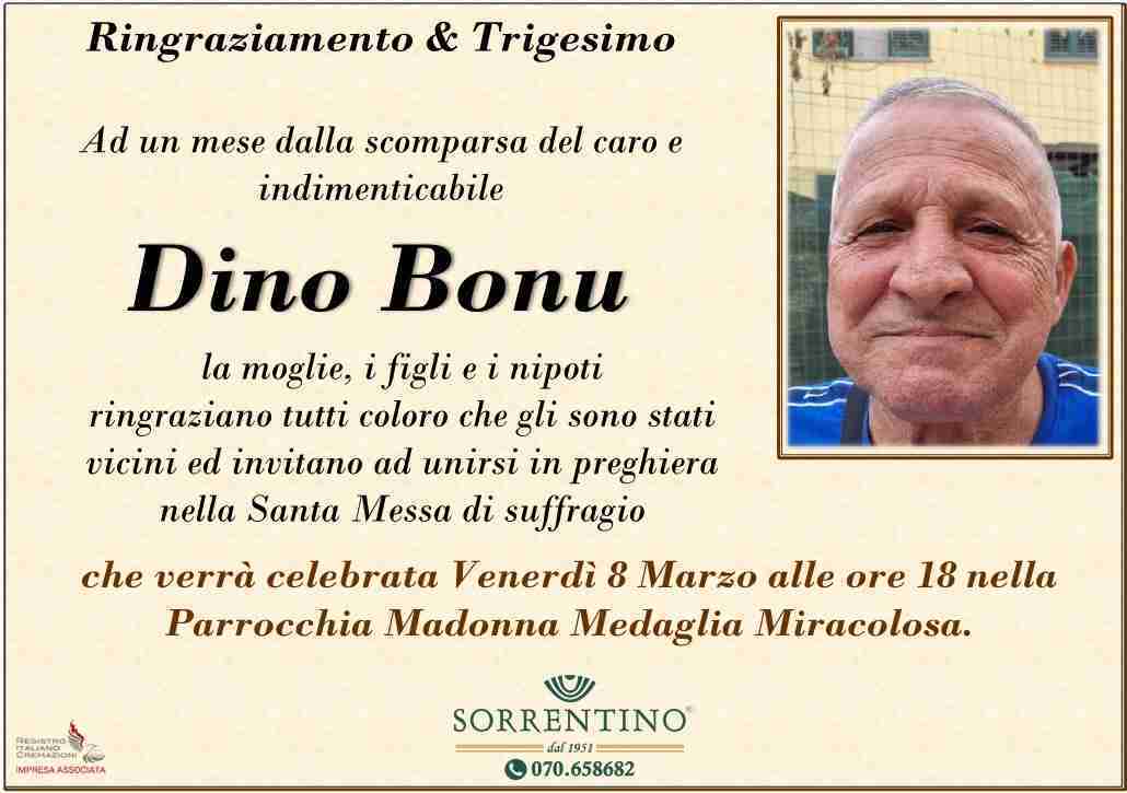 Dino Bonu