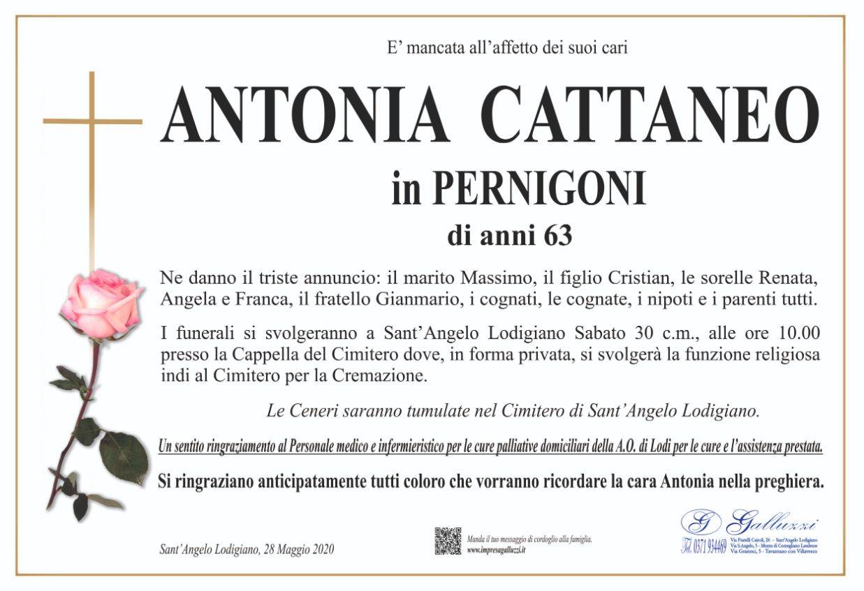 Antonia Cattaneo