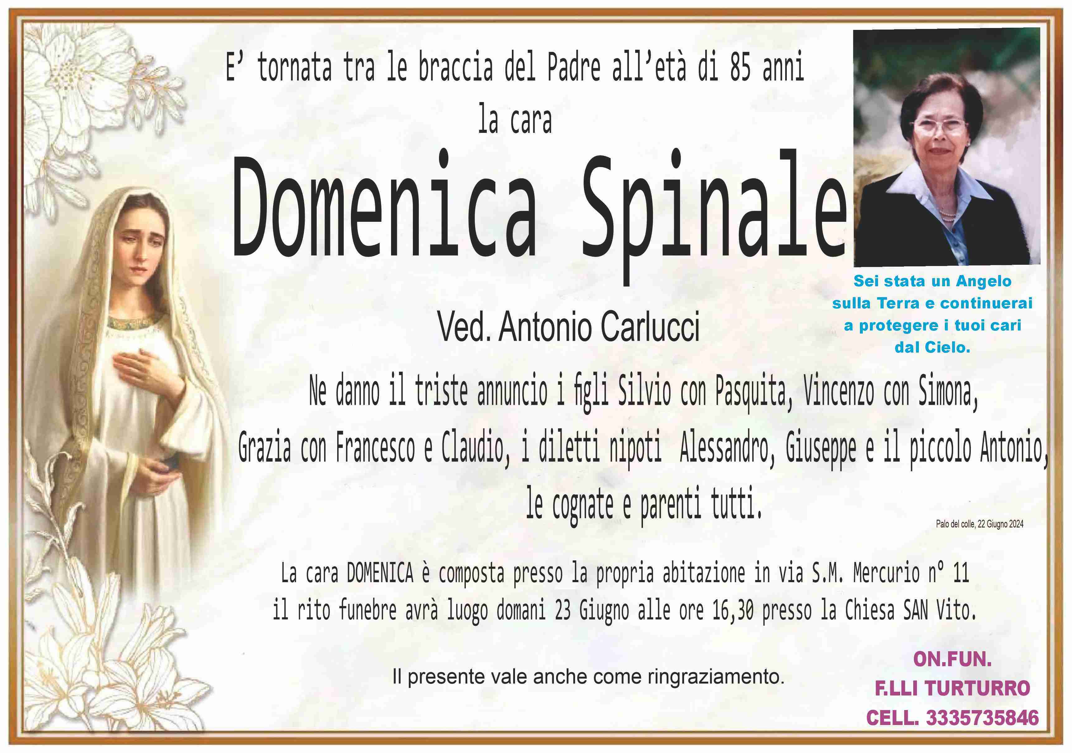 Domenica  Spinale