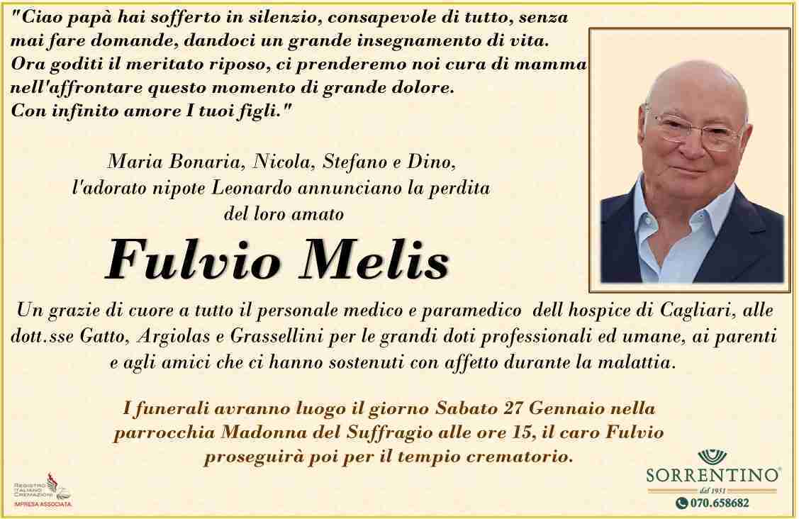 Fulvio Melis