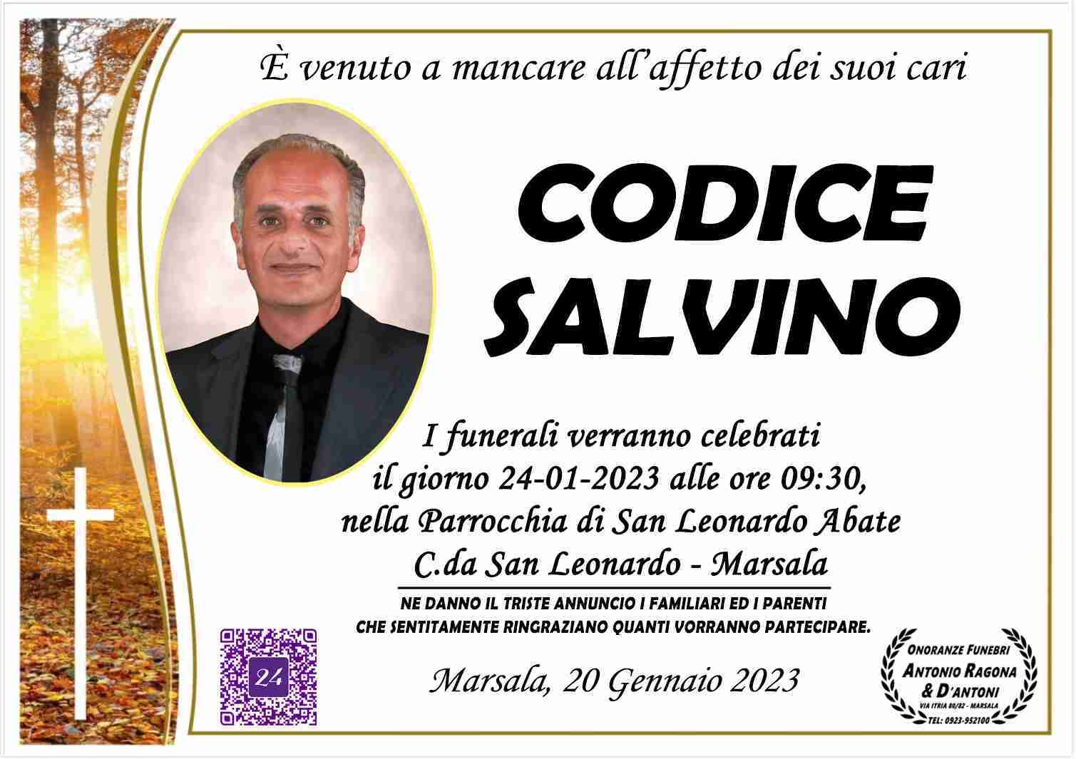 Salvino Codice