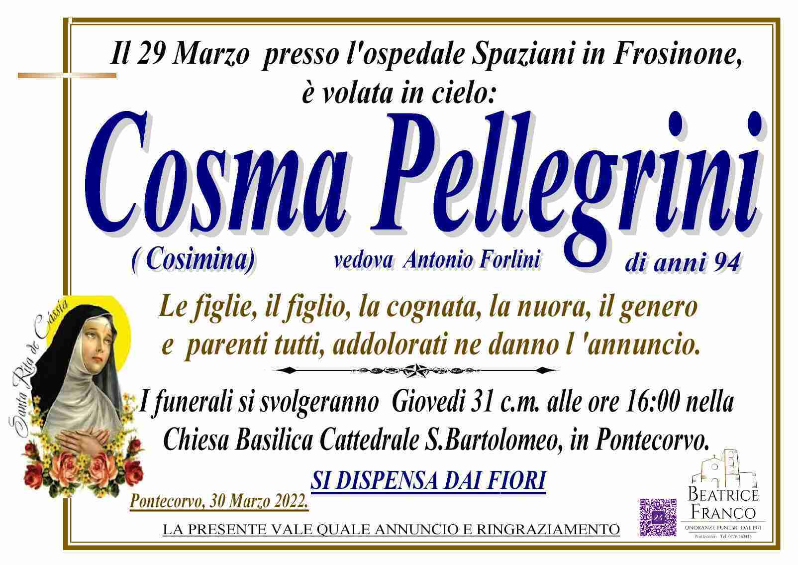 Cosma Pellegrini