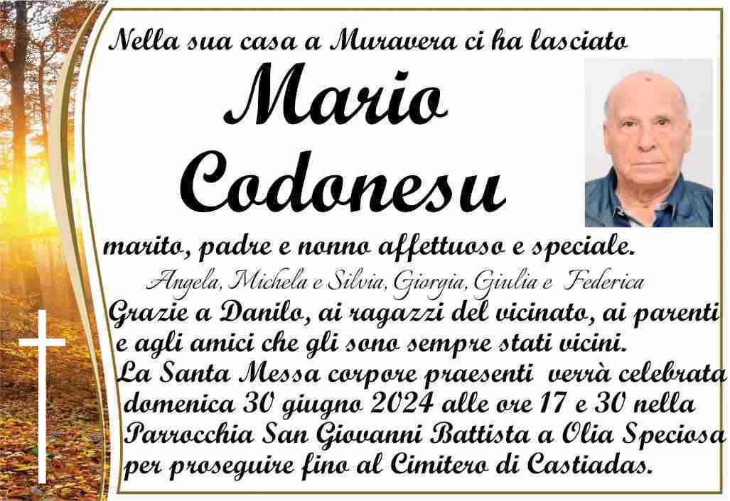 Mario Codonesu