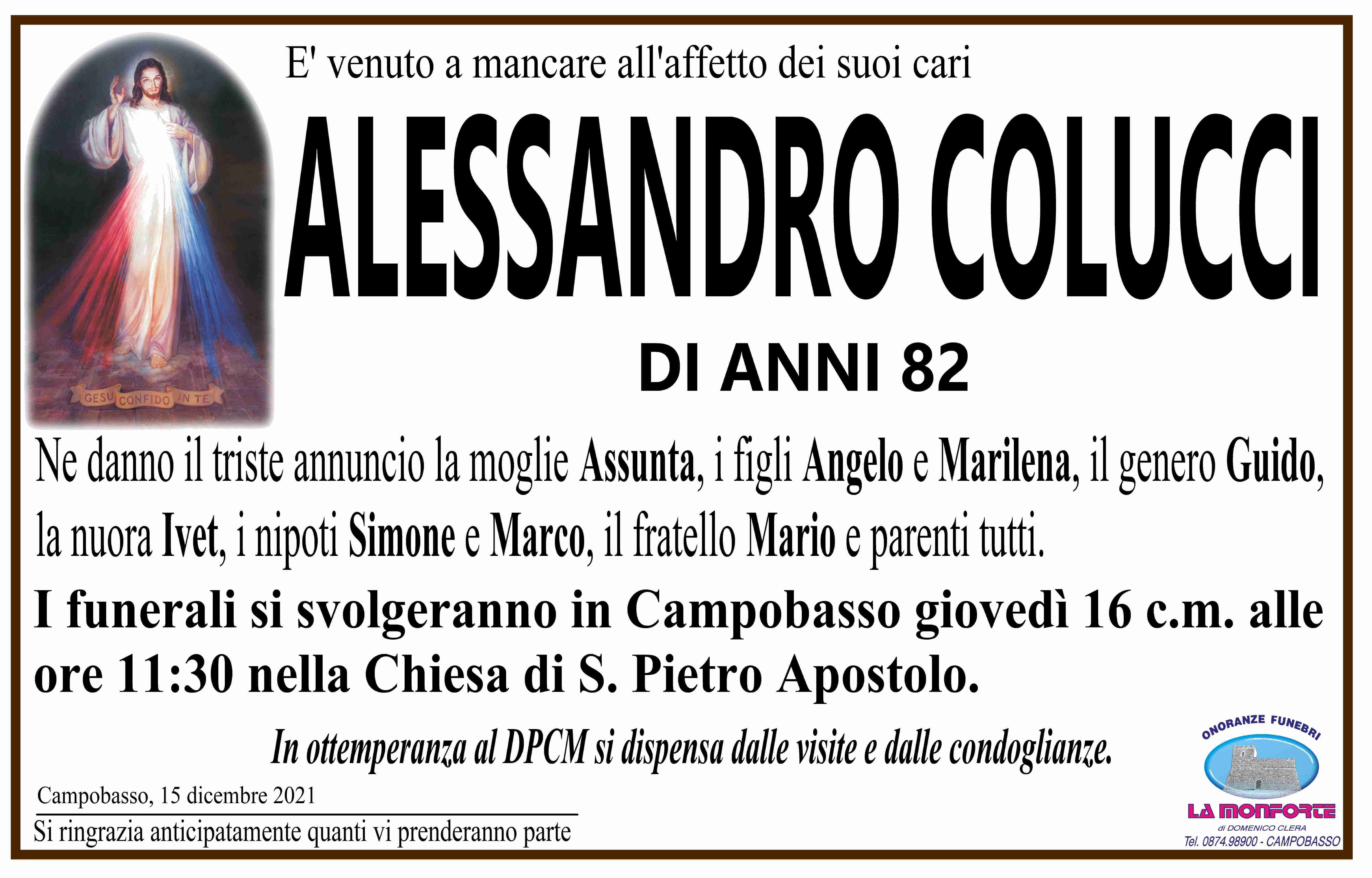 Alessandro Colucci