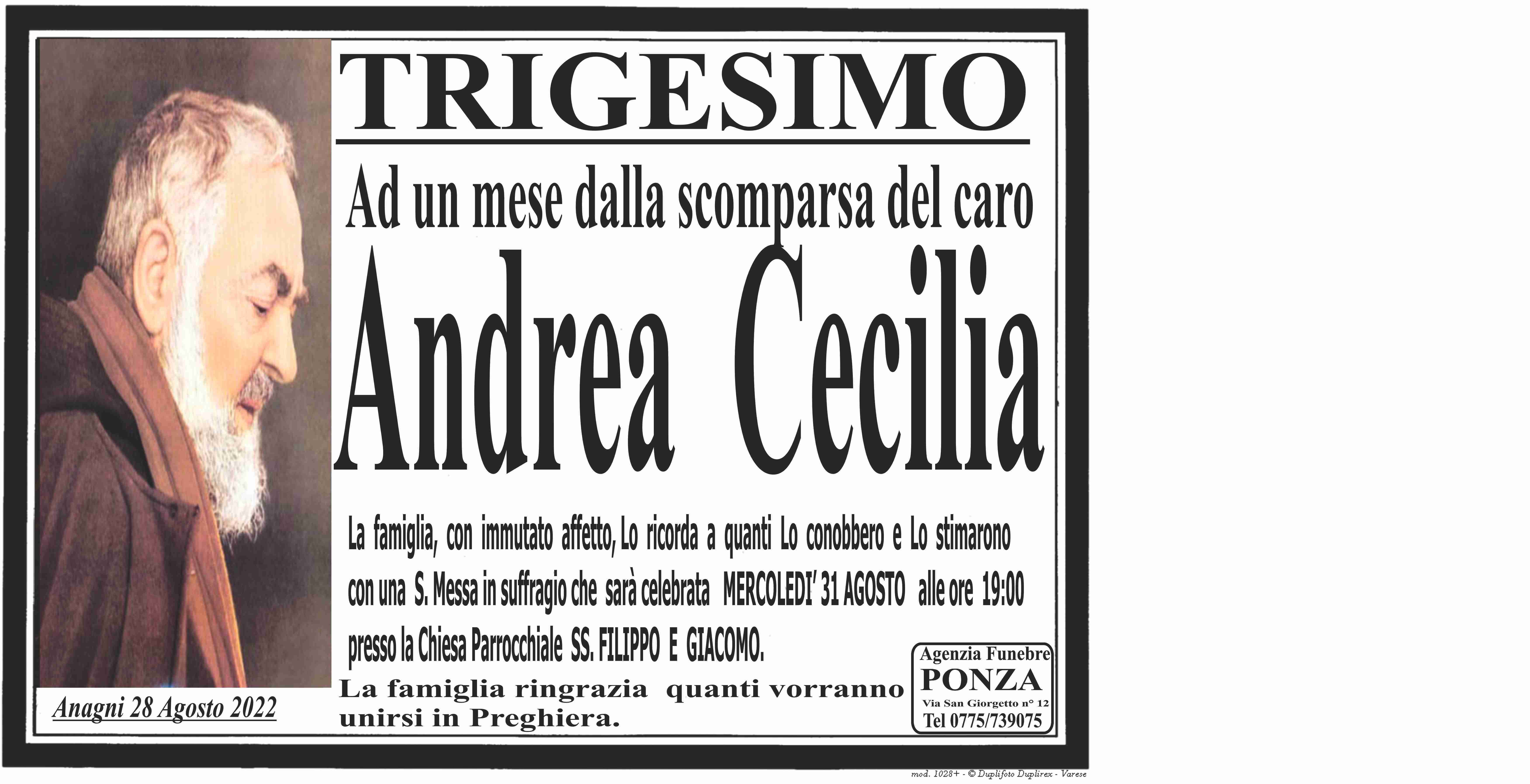Andrea Cecilia