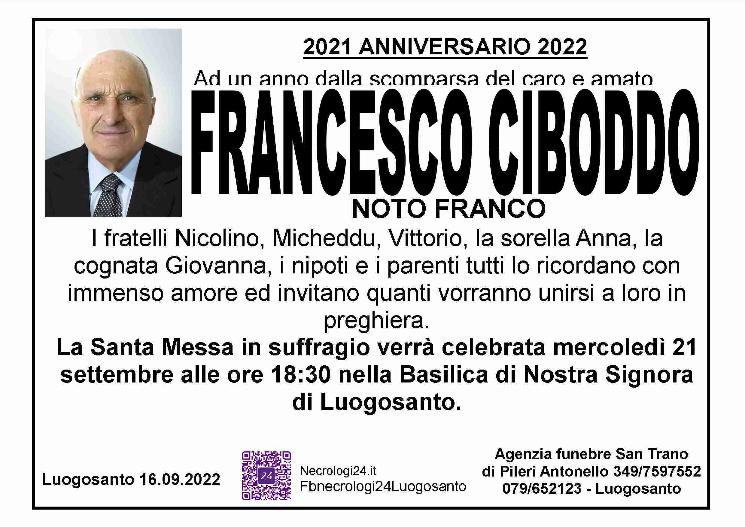 Francesco Ciboddo