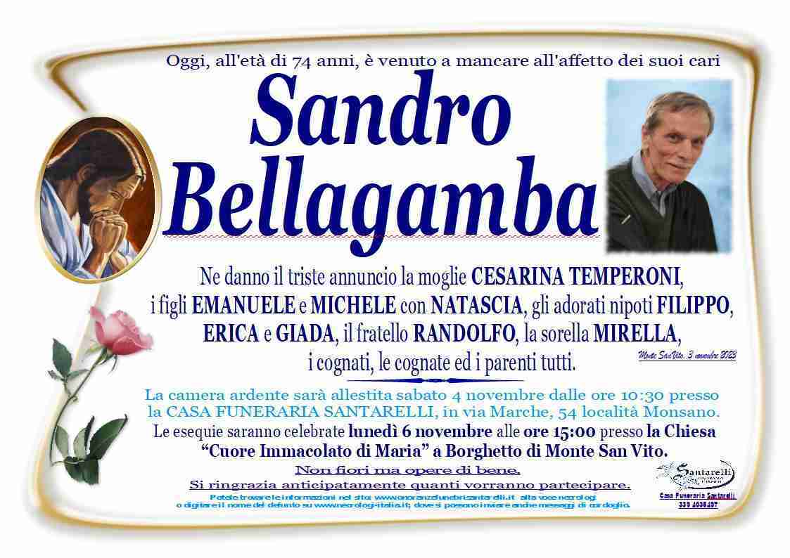 Sandro Bellagamba