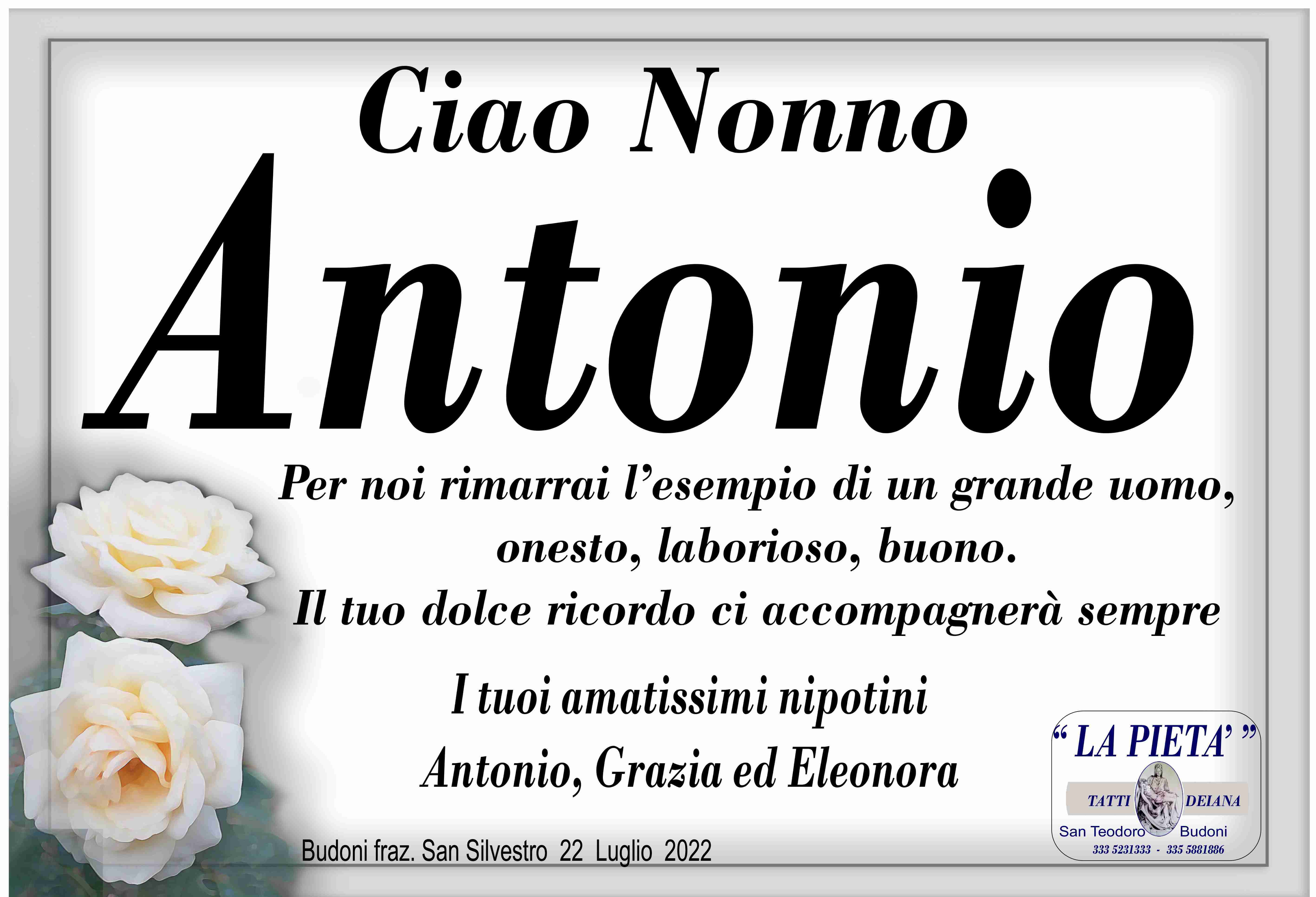 Antonio Flore