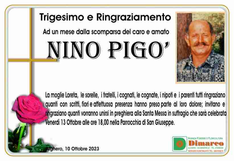 Nino Pigò