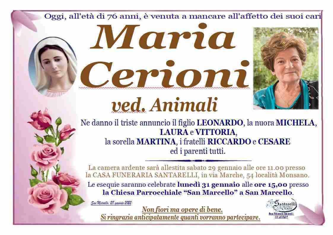 Maria Cerioni