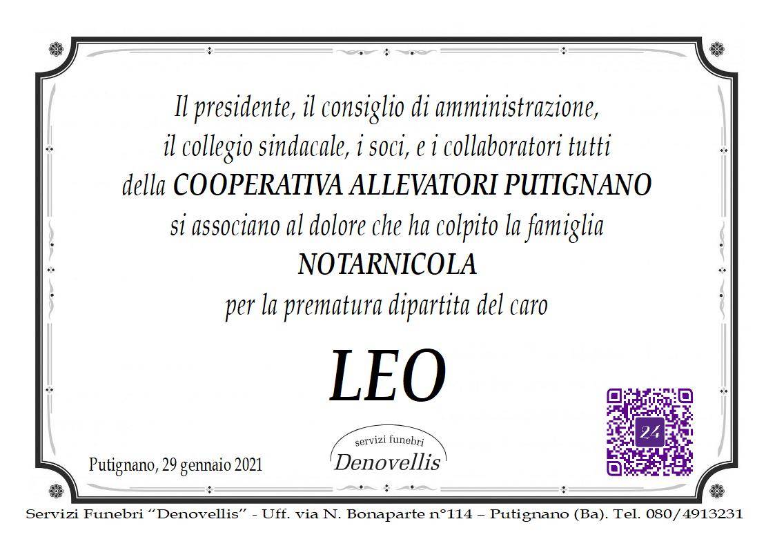 Leo Notarnicola (P3)