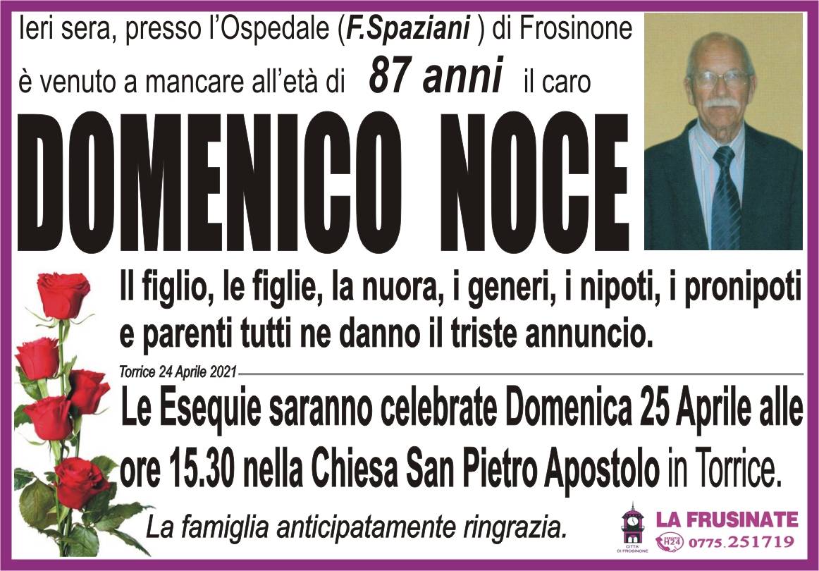 Domenico Noce