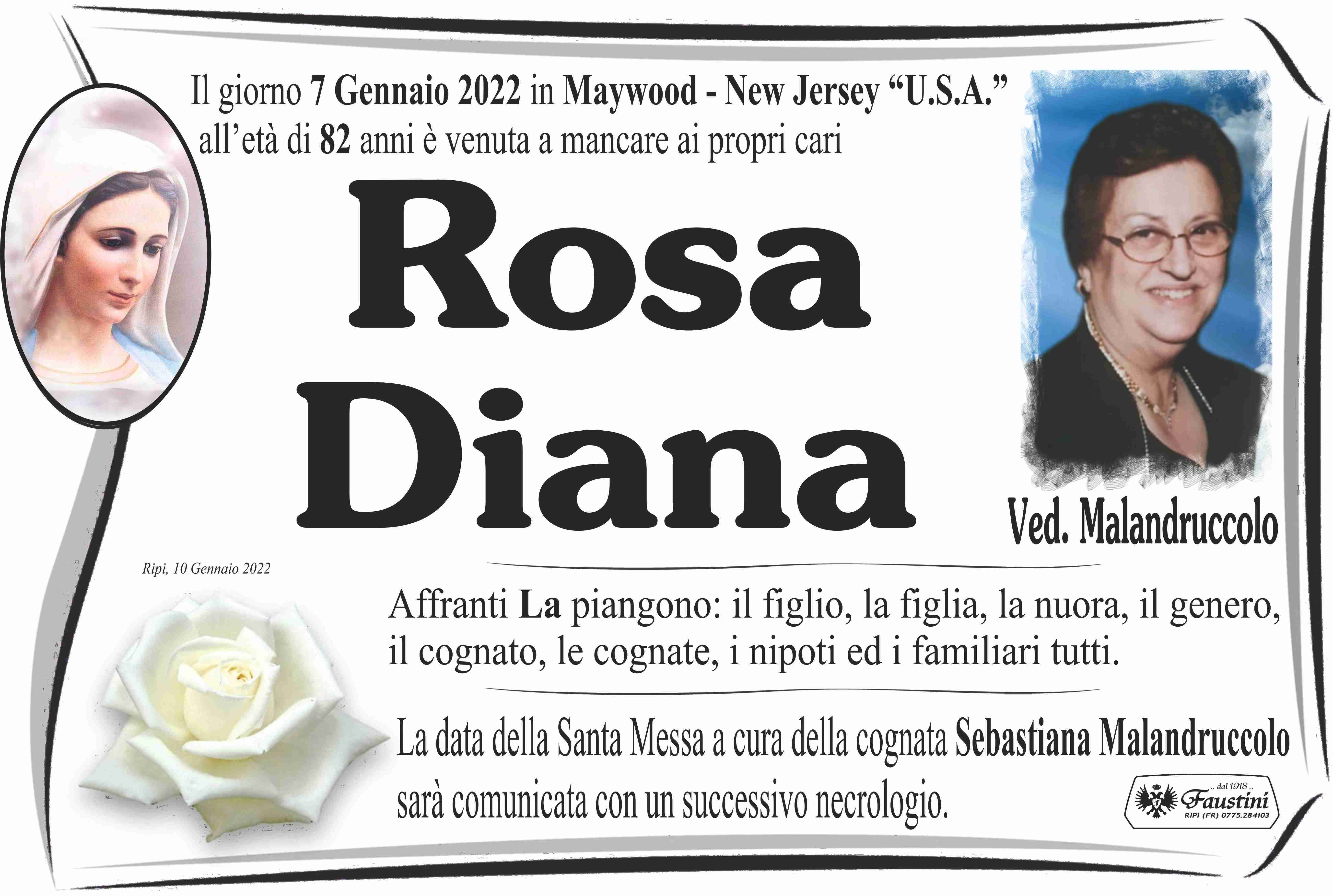 Rosa Diana