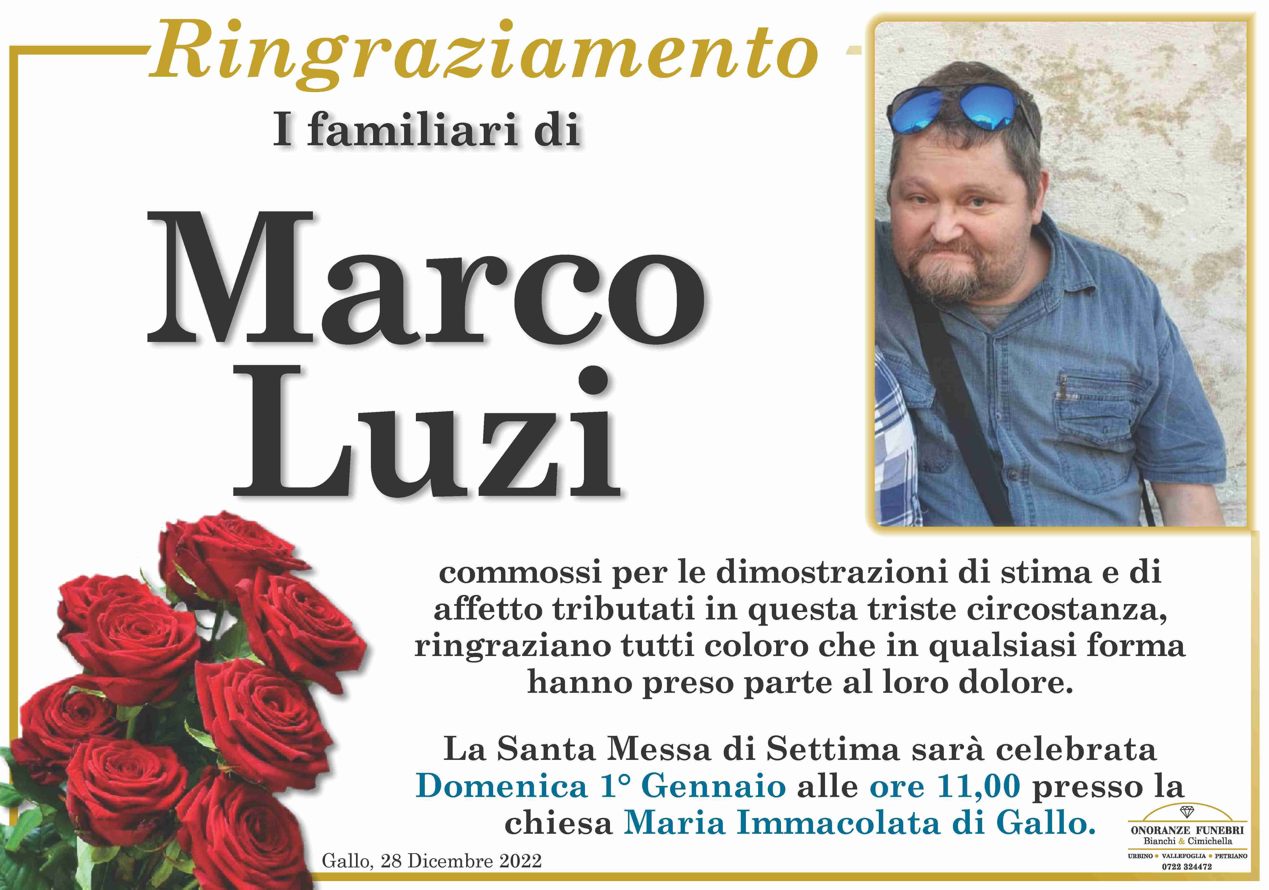 Marco Luzi