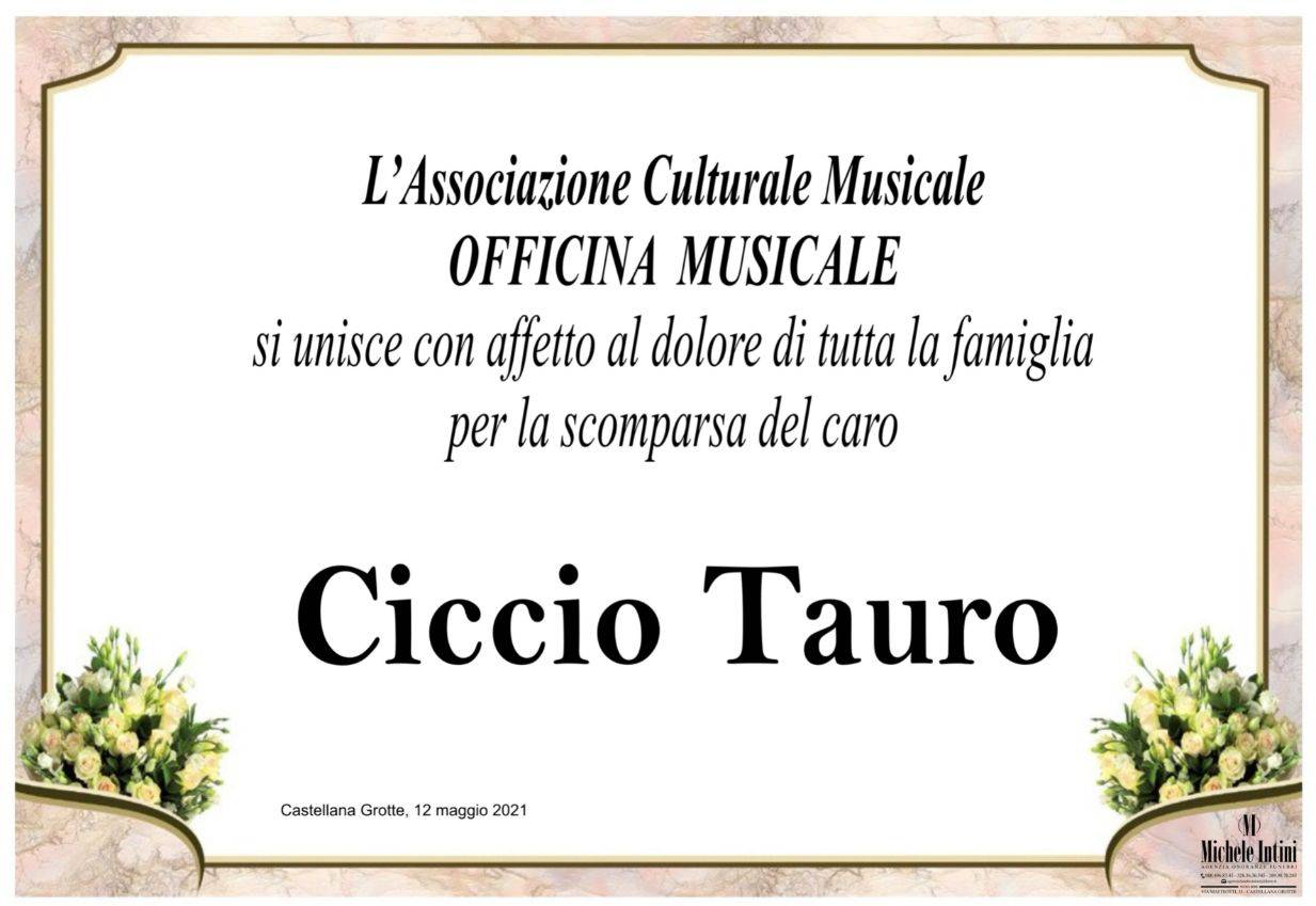 L'Associazione Culturale Musicale "Officina Musicale"