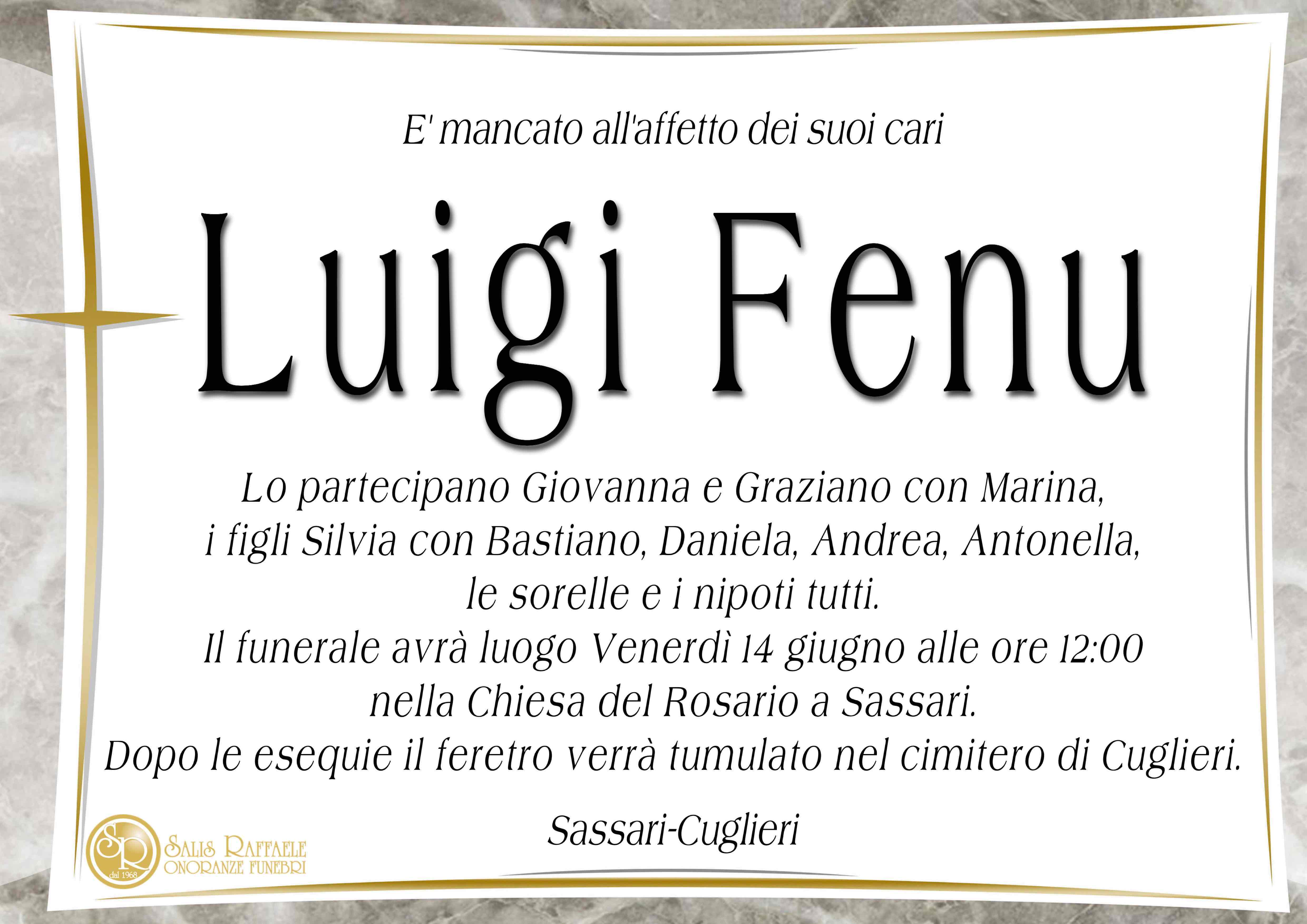 Luigi Fenu