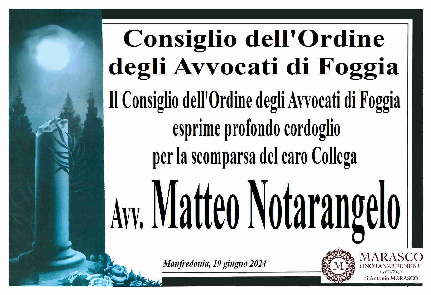 Matteo Notarangelo