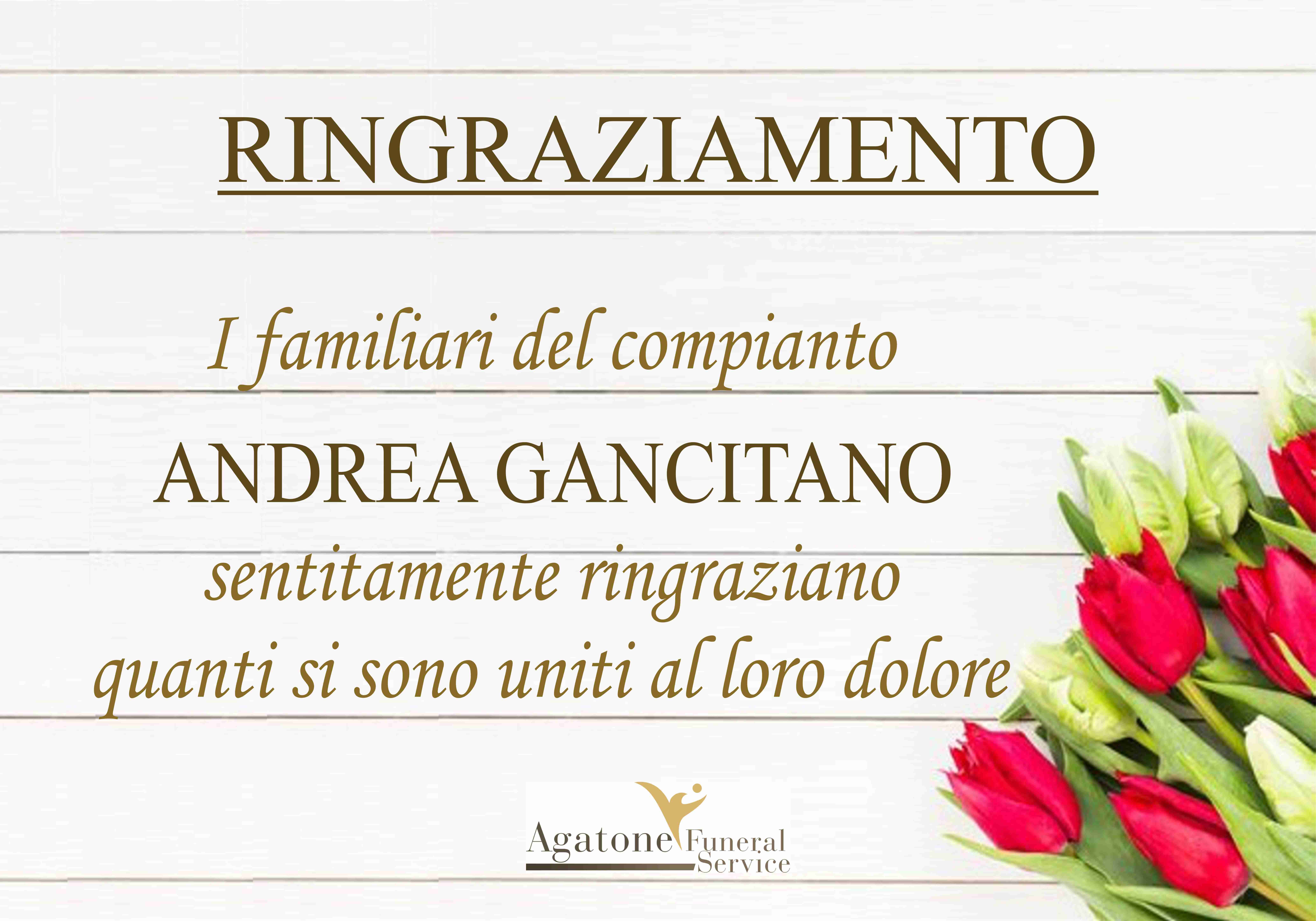Andrea Gancitano