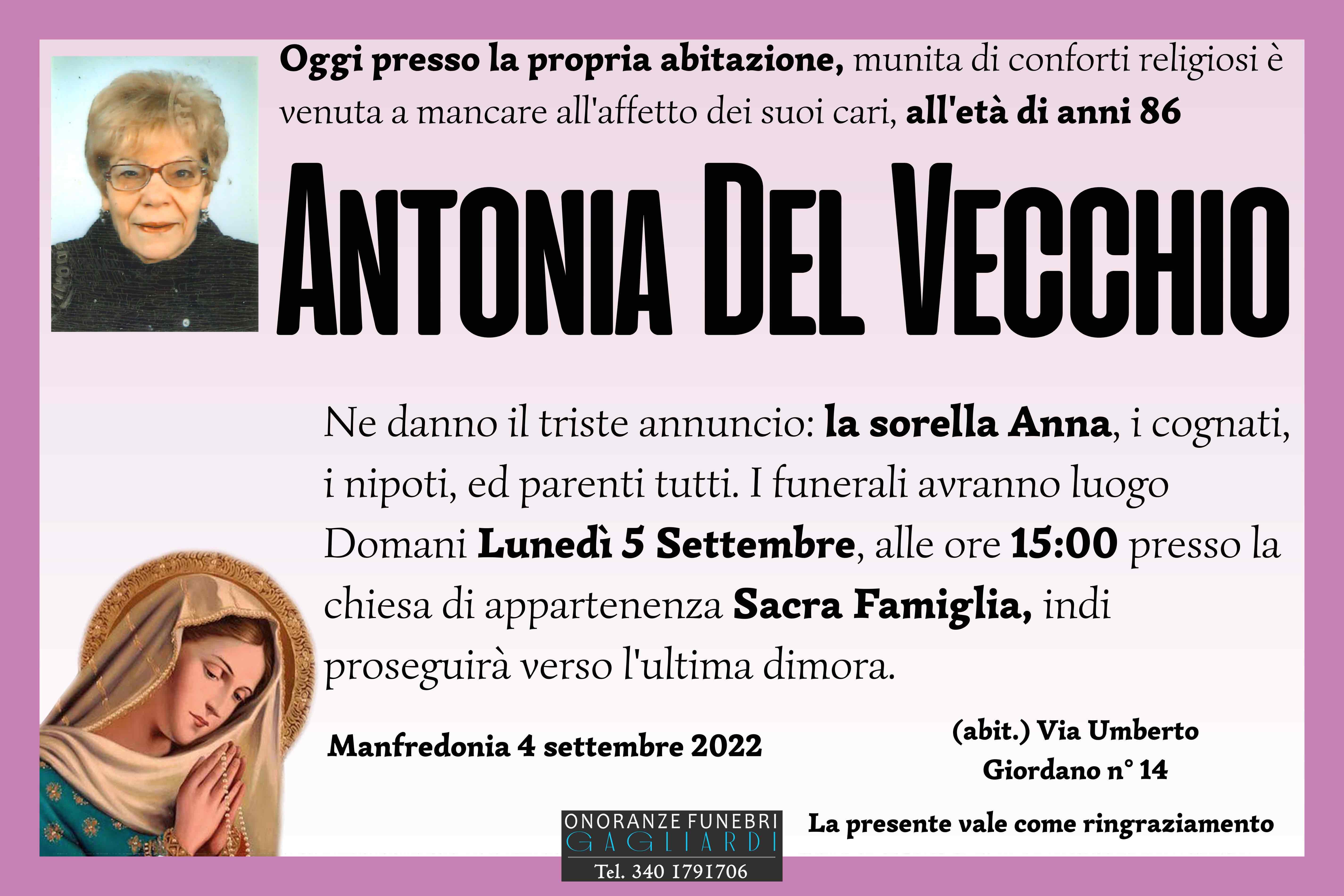 Antonia Del Vecchio