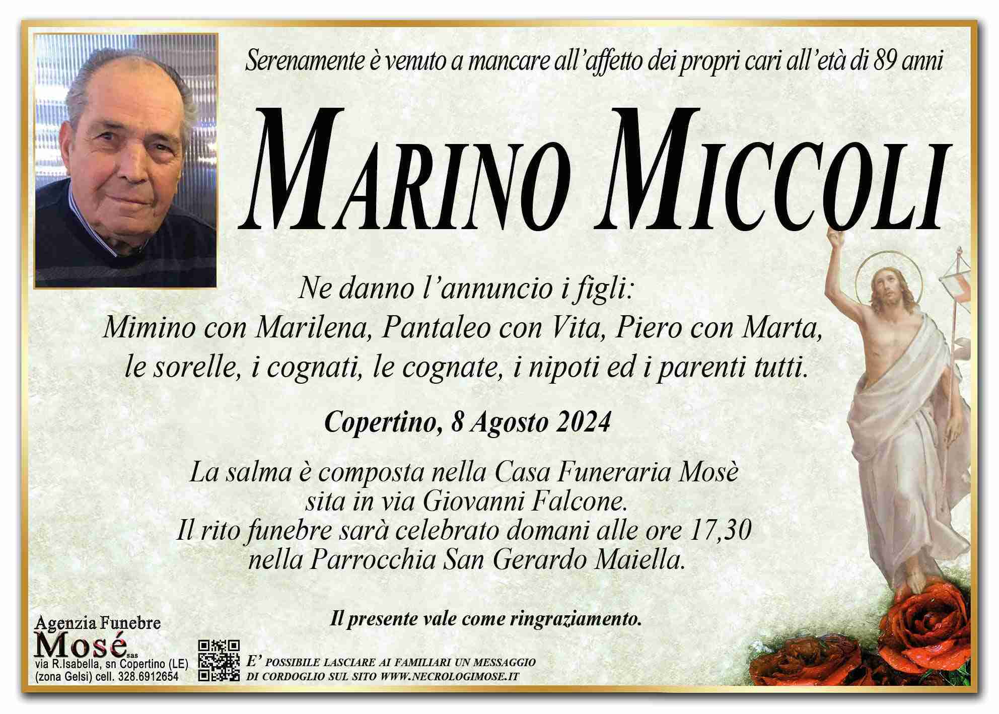 Marino Miccoli