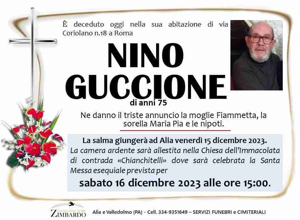 Nino Guccione
