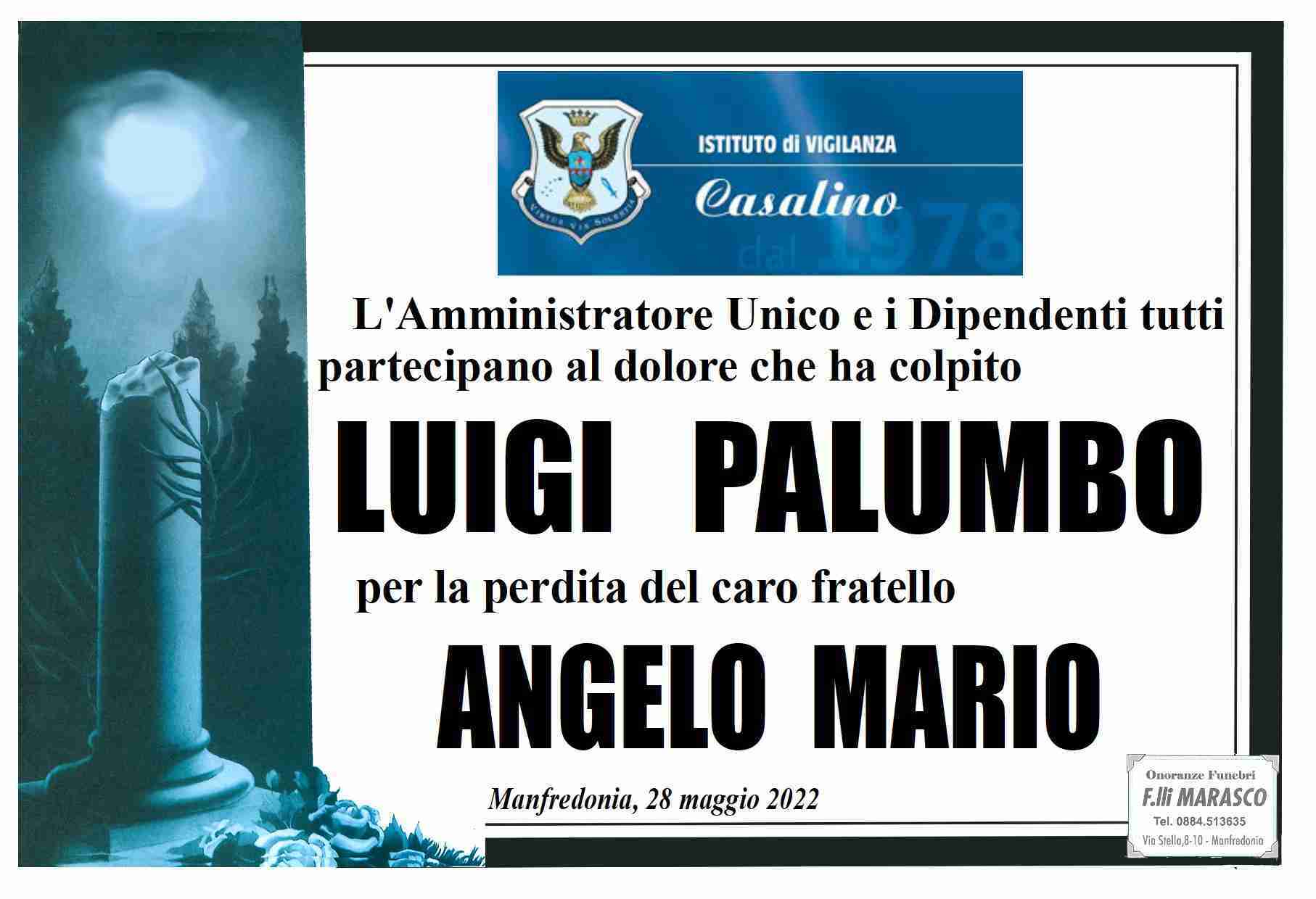 Angelo Mario Palumbo