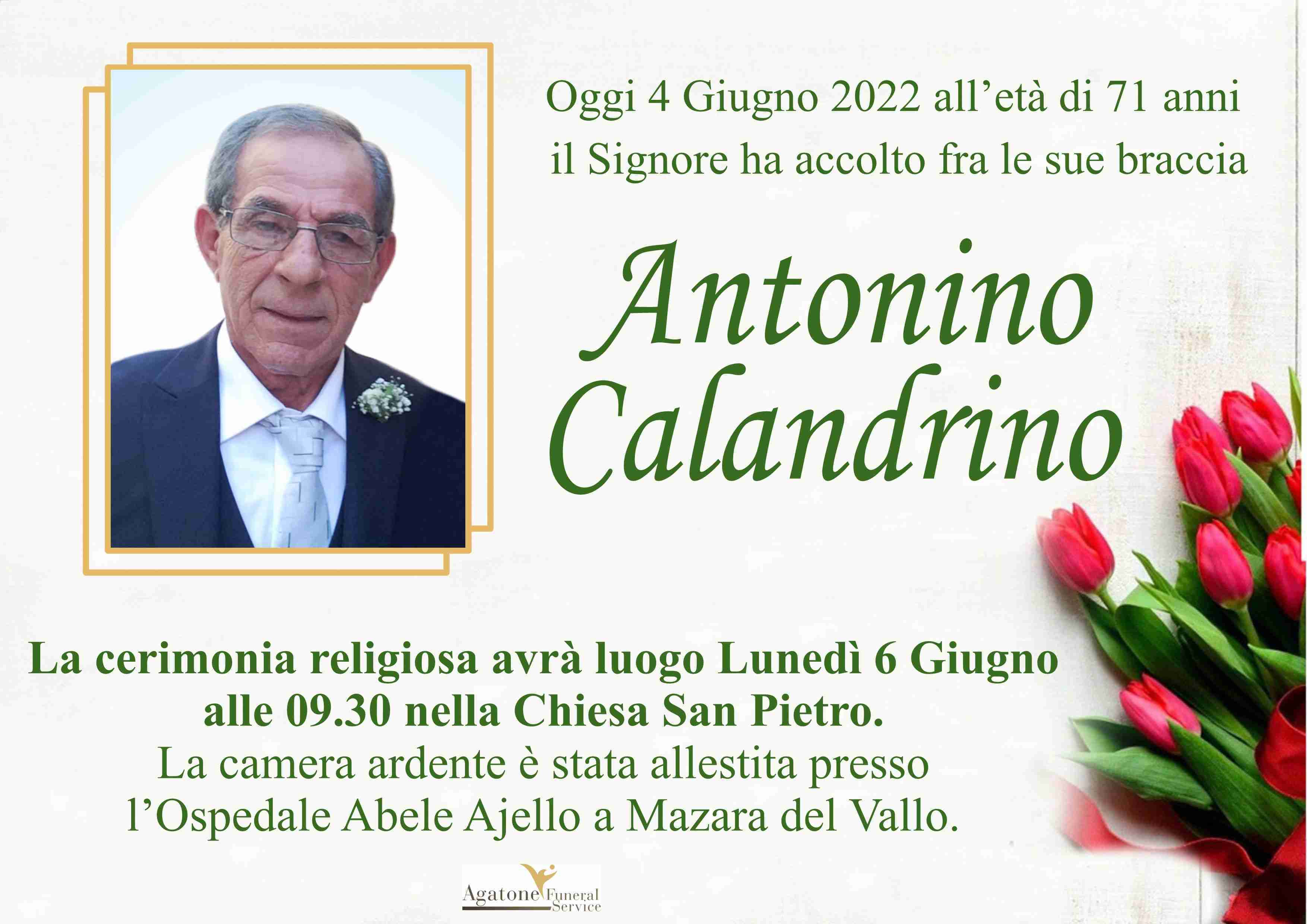 Antonino Calandrino