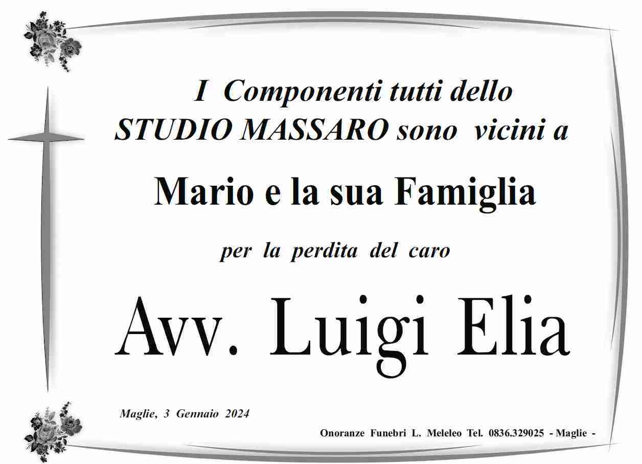 Prof. Avv. Luigi Carmine Elia