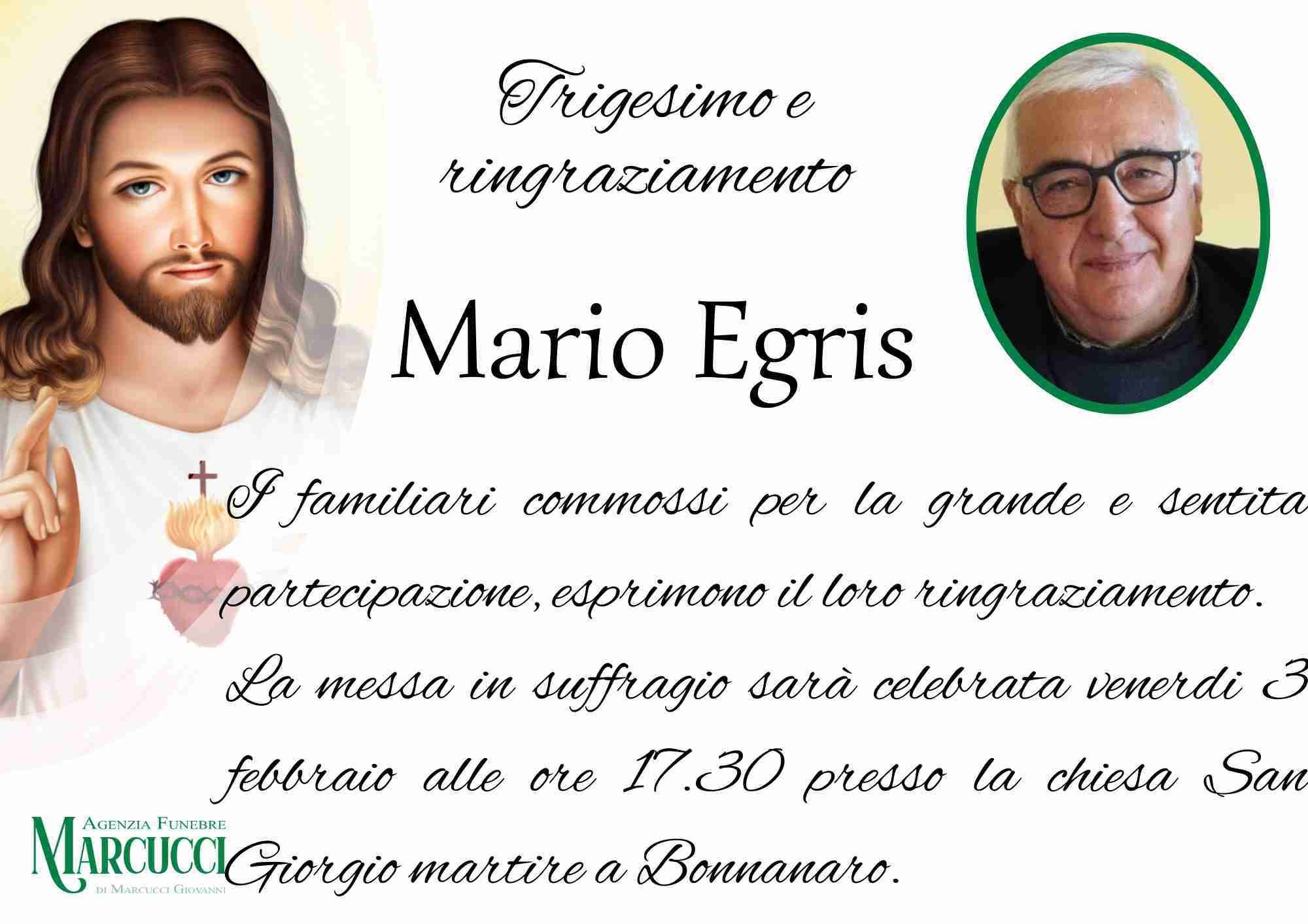 Mario Egris