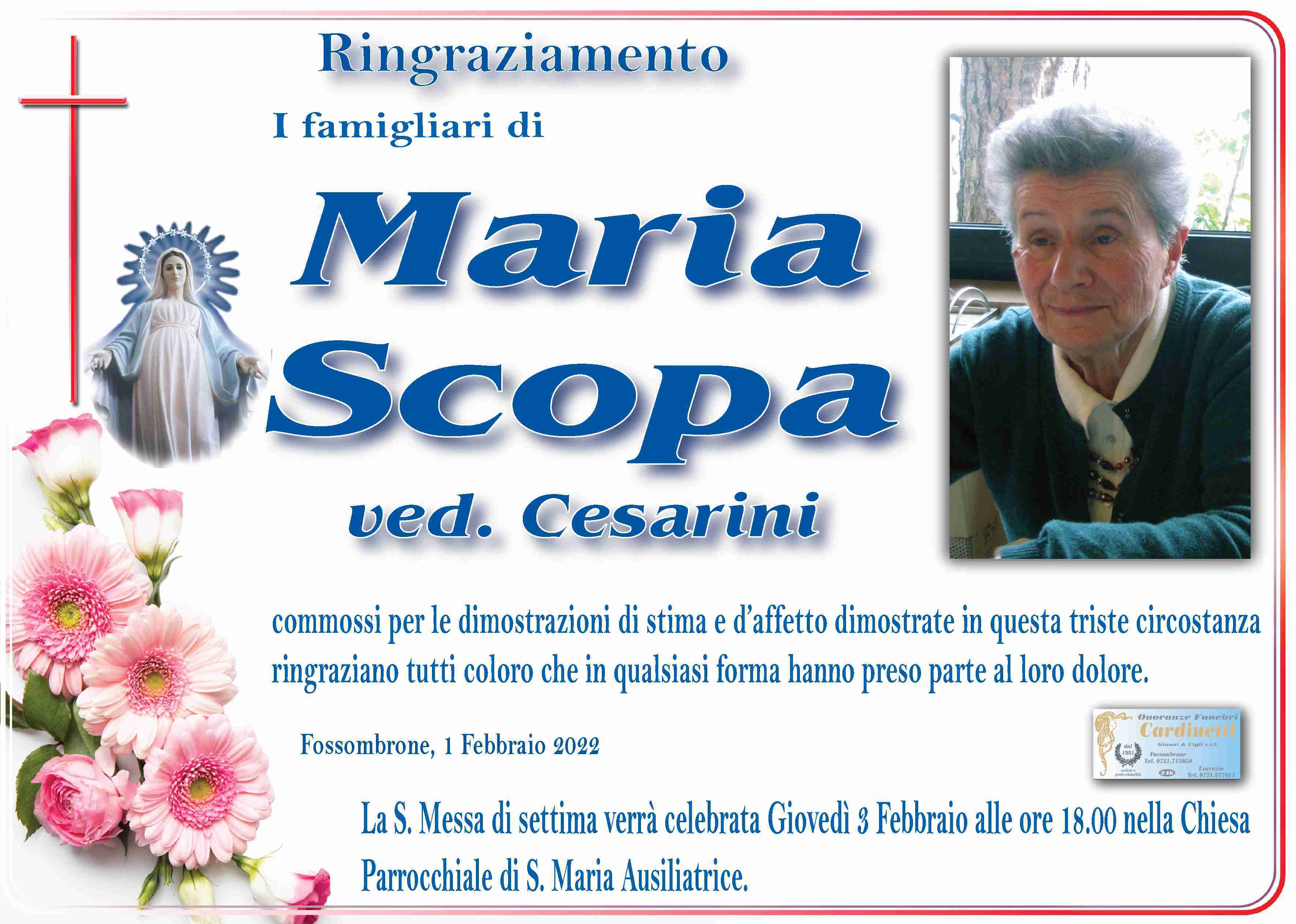 Maria Scopa