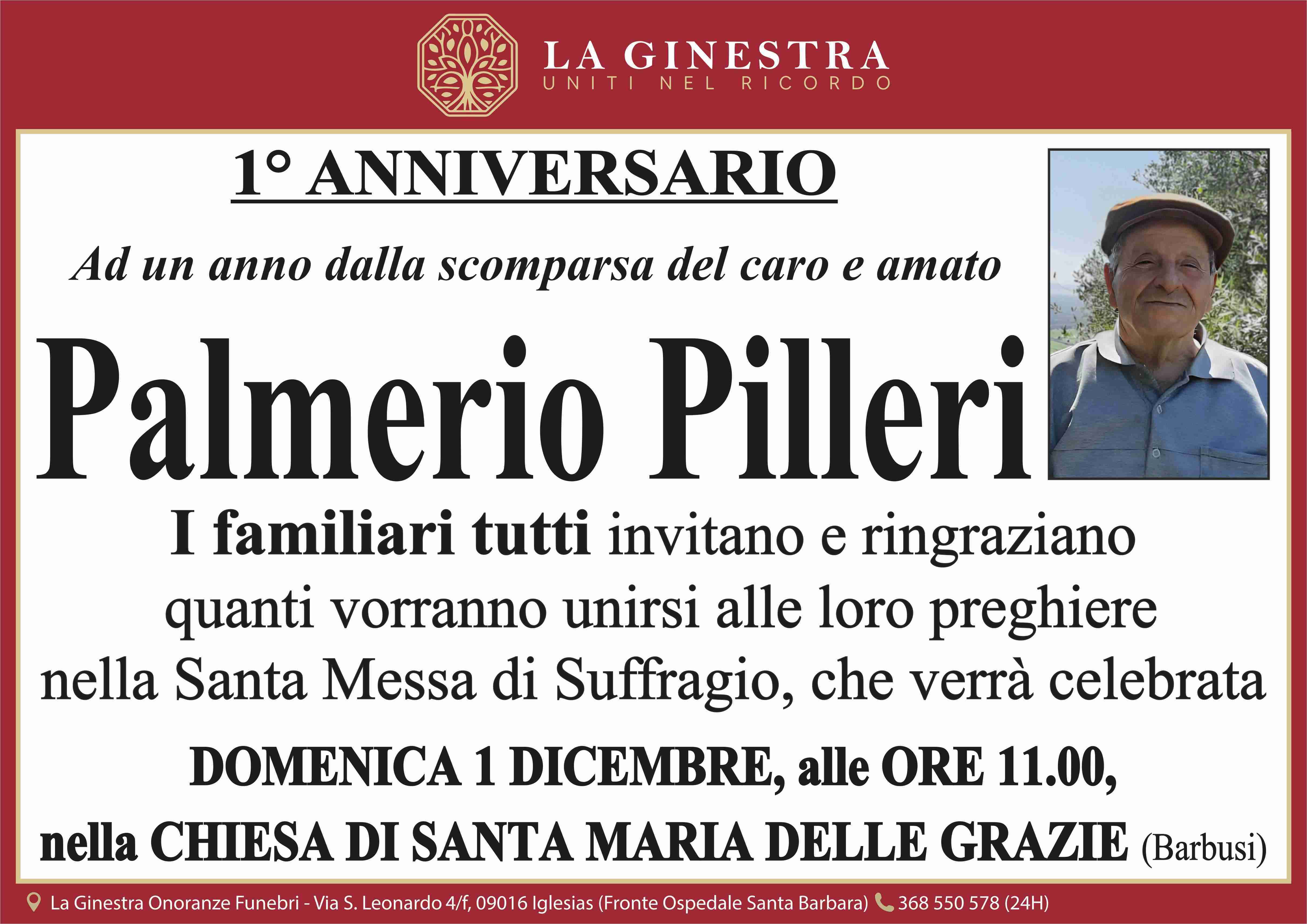 Palmerio Pilleri