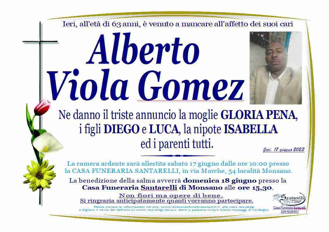 Alberto Viola Gomez