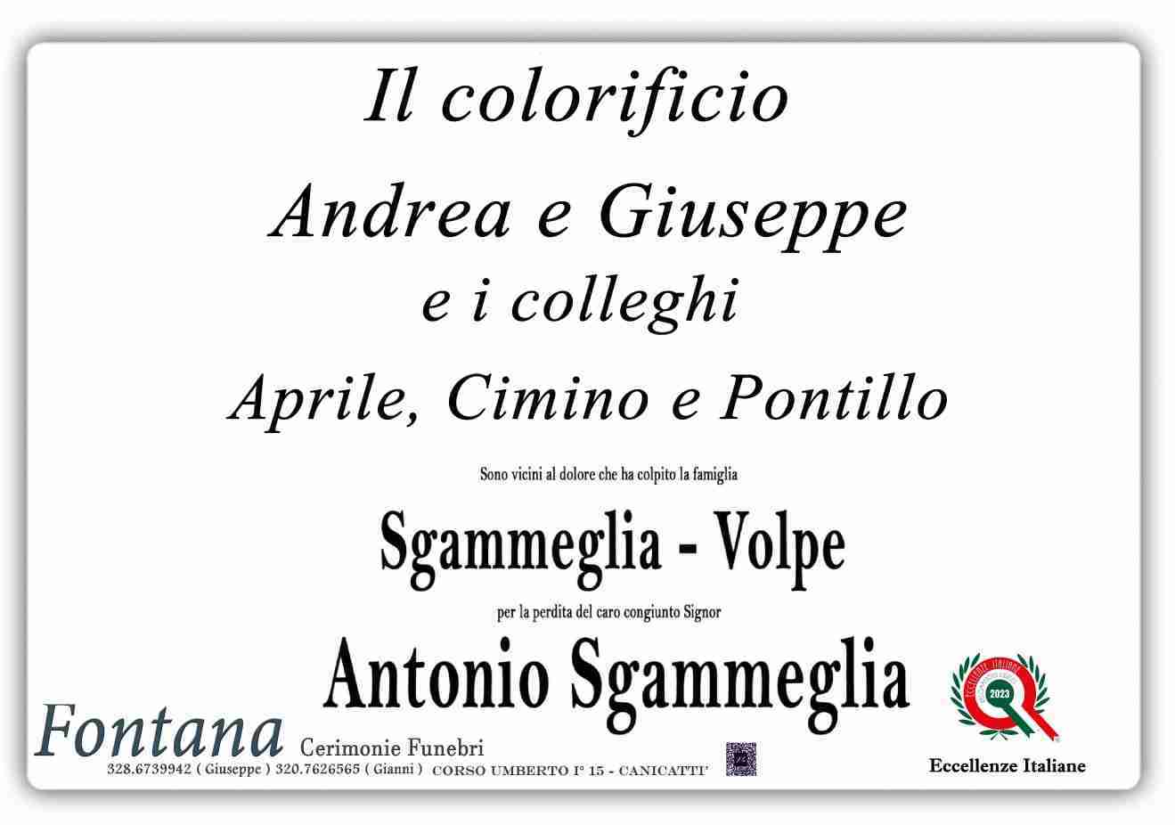 Antonio Sgammeglia