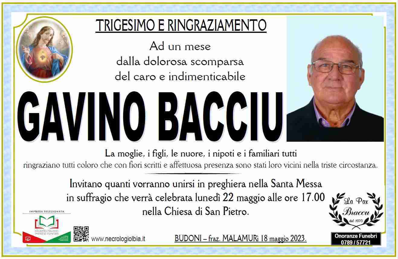 Gavino Bacciu