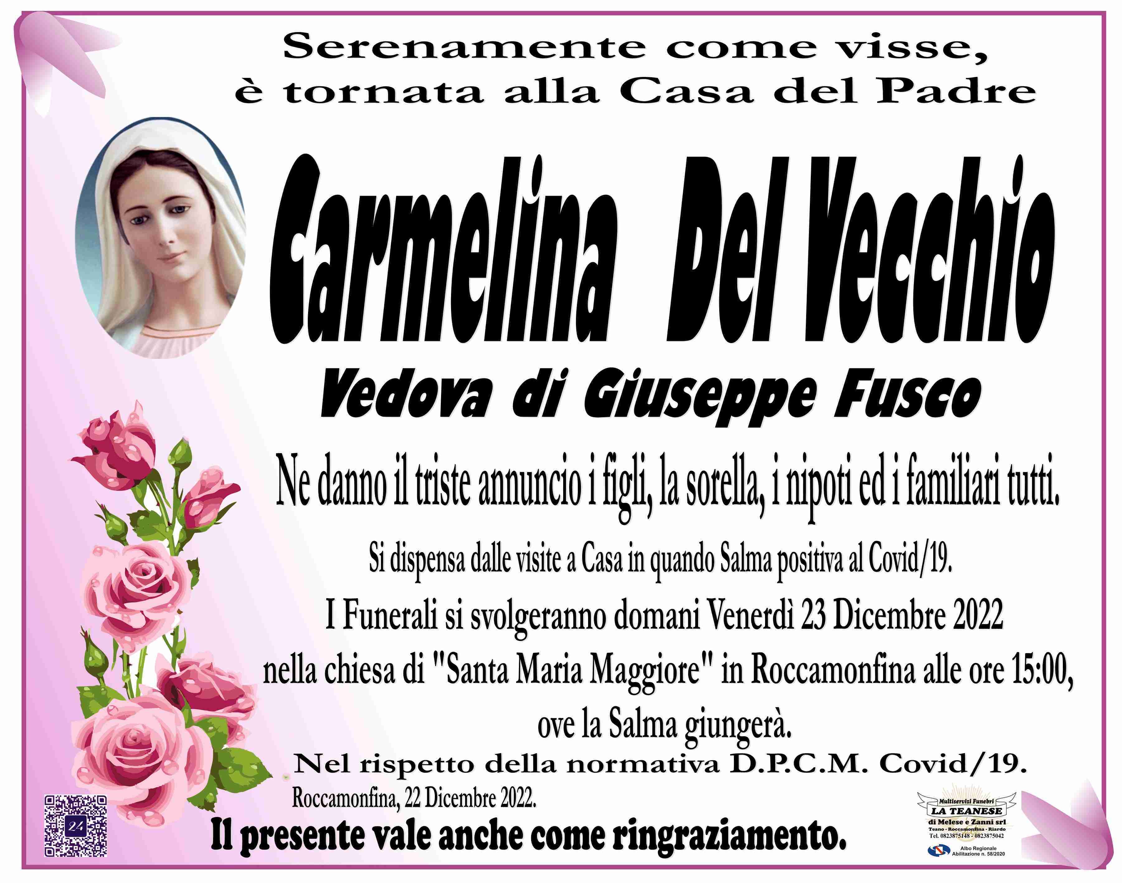 Carmelina Del Vecchio