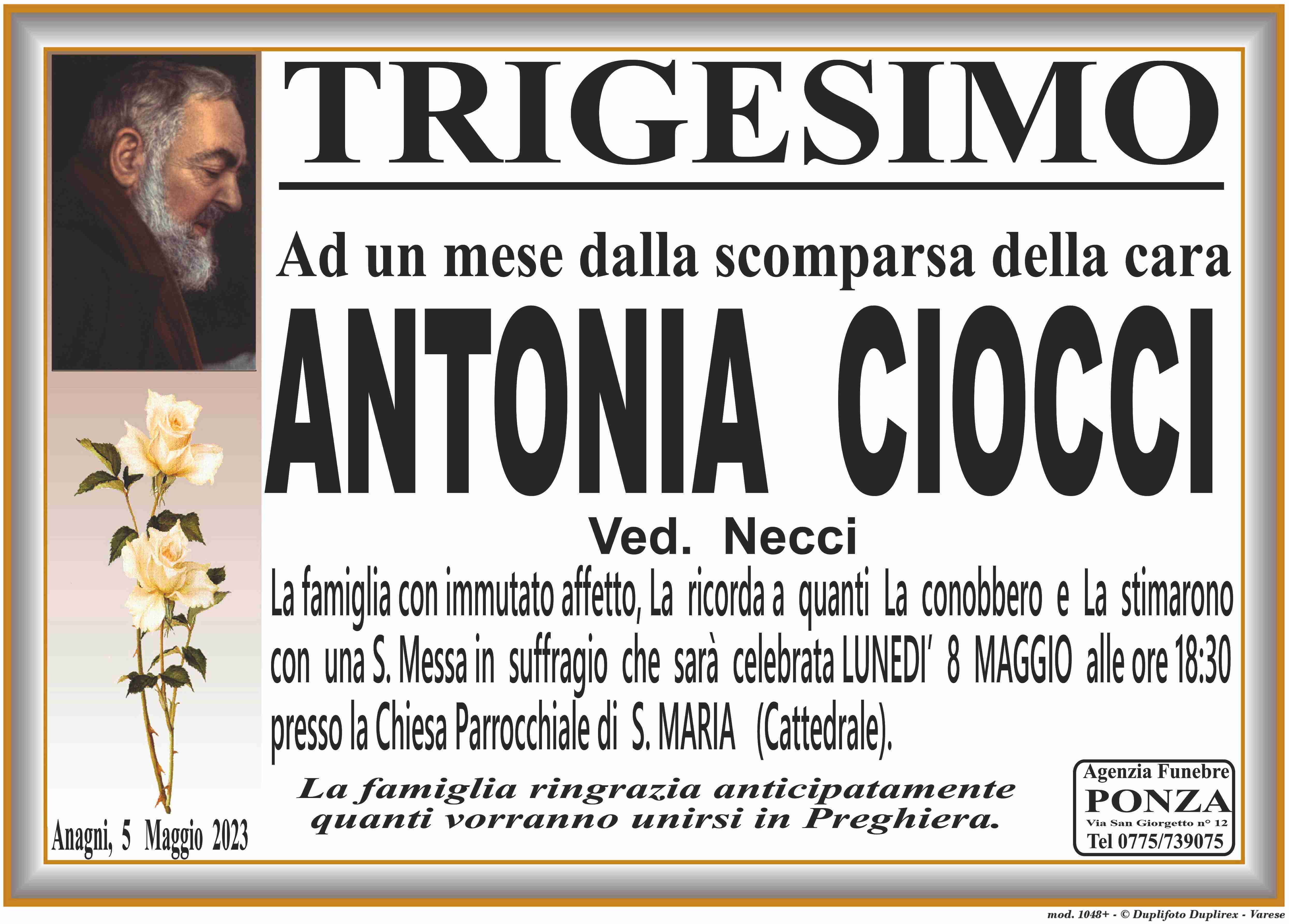 Antonia Ciocci
