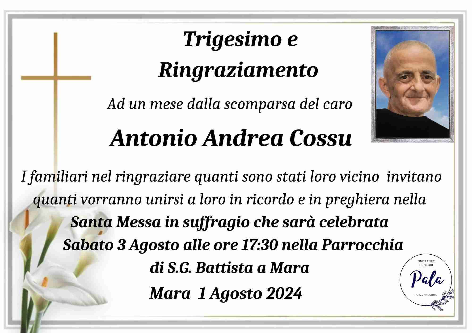 Antonio Andrea Cossu